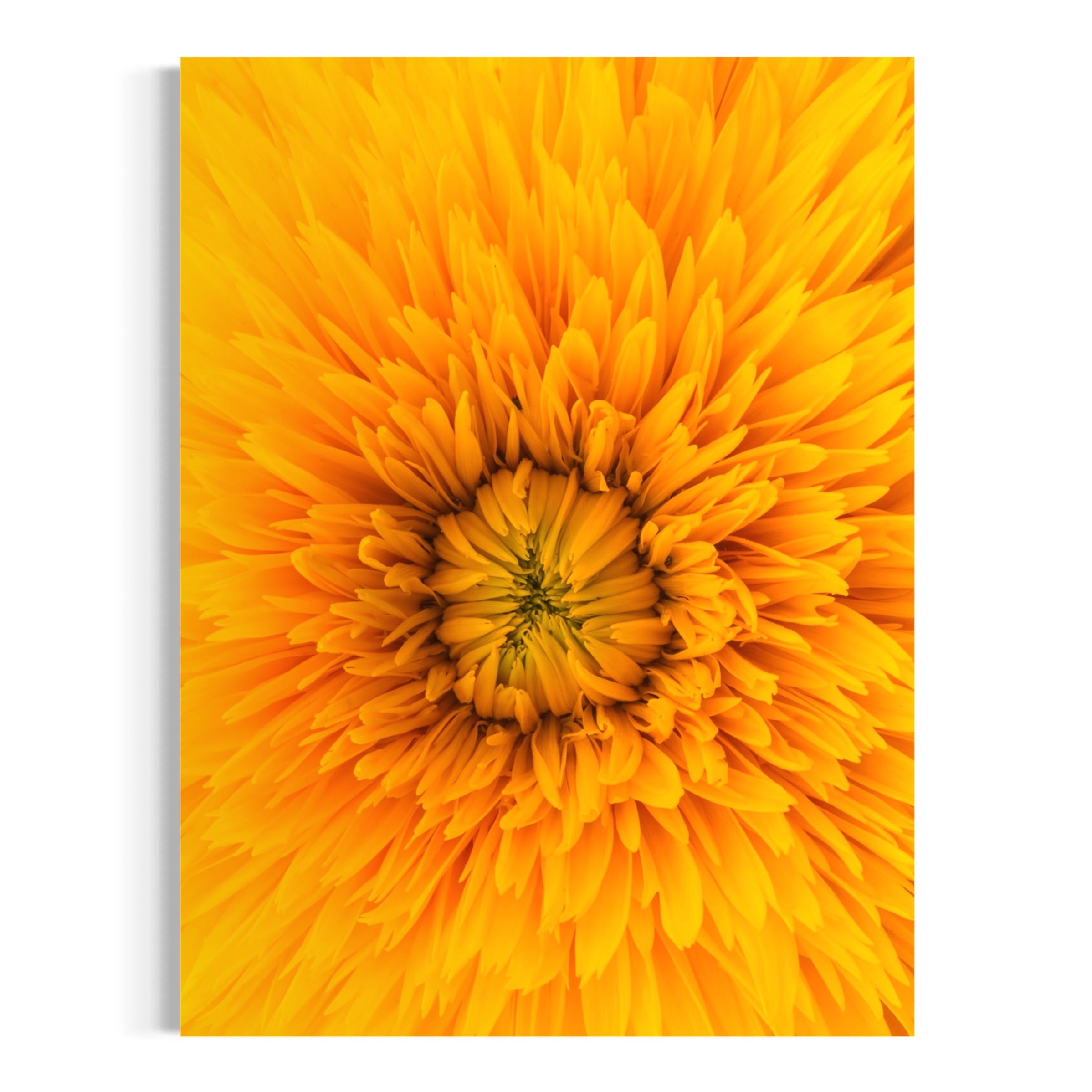 Opening Glow - Moderno Wall Art Wall Art