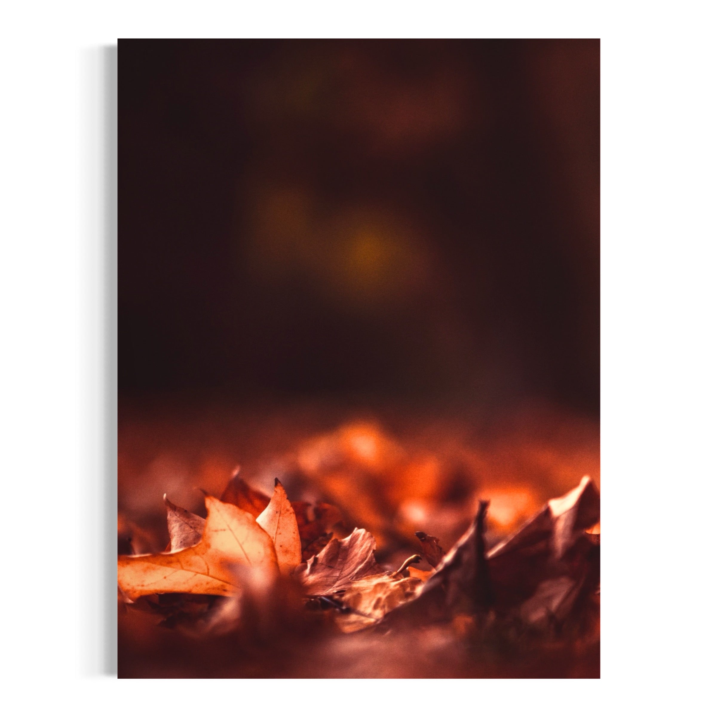 Crimson Calm - Moderno Wall Art Wall Art