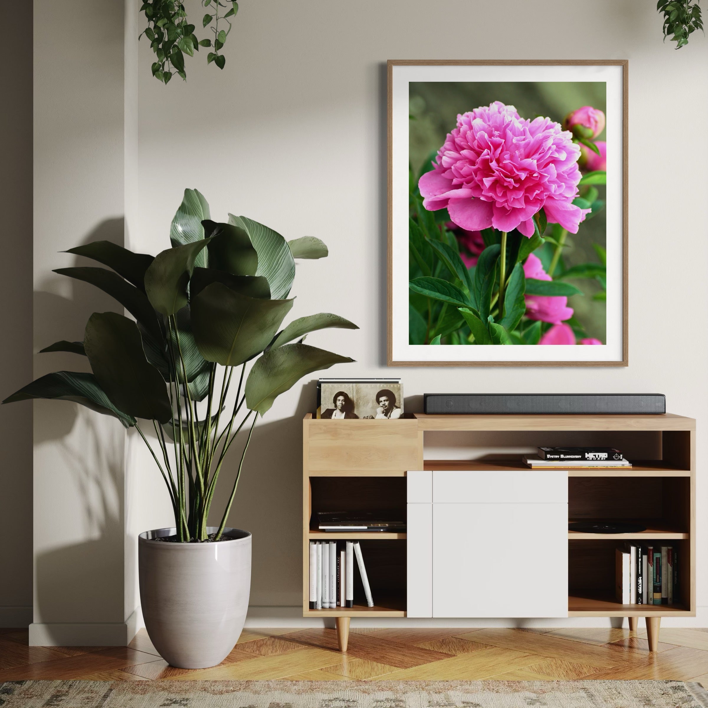 Carnation in Full Bloom - Moderno Wall Art Wall Art
