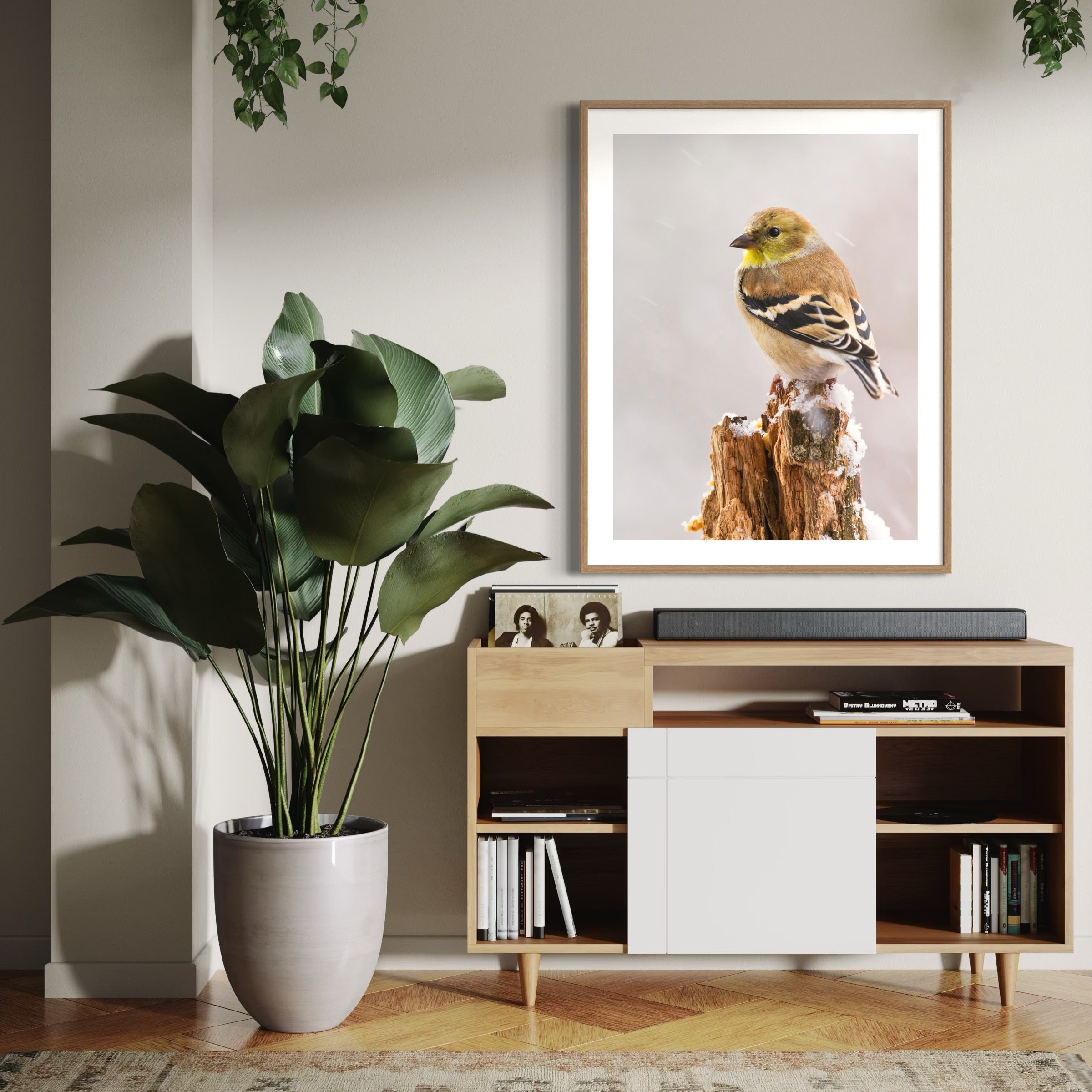 Winter Goldfinch - Moderno Wall Art Wall Art