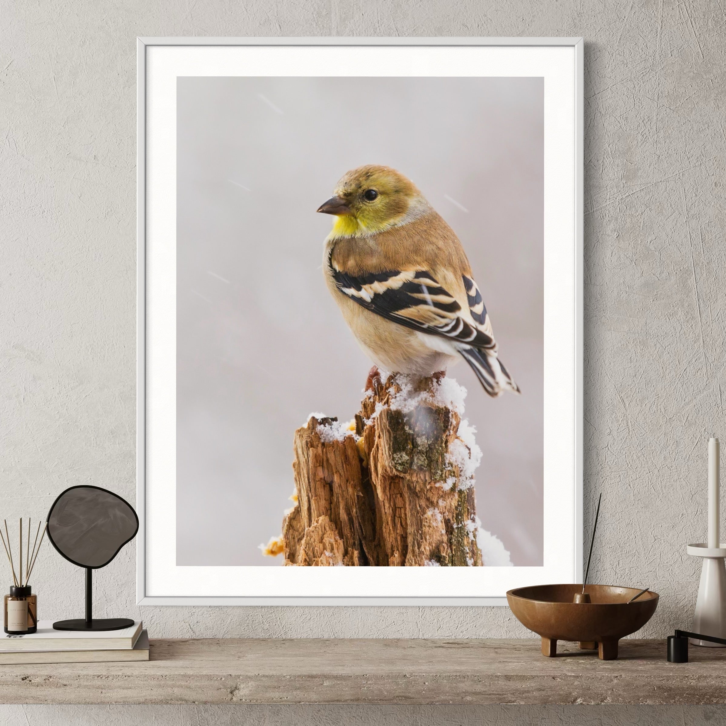 Winter Goldfinch - Moderno Wall Art Wall Art