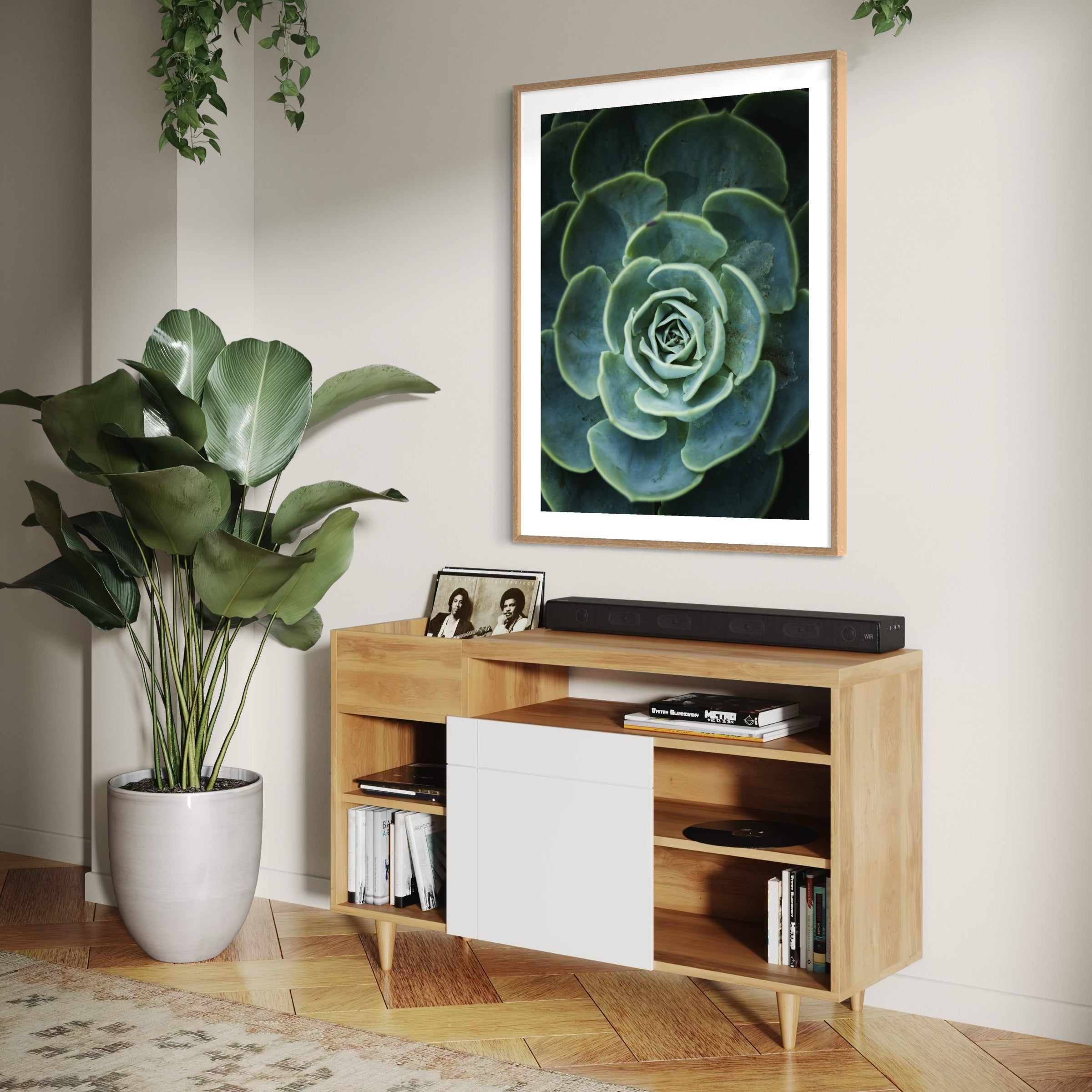 Green Succulent - Moderno Wall Art Wall Art
