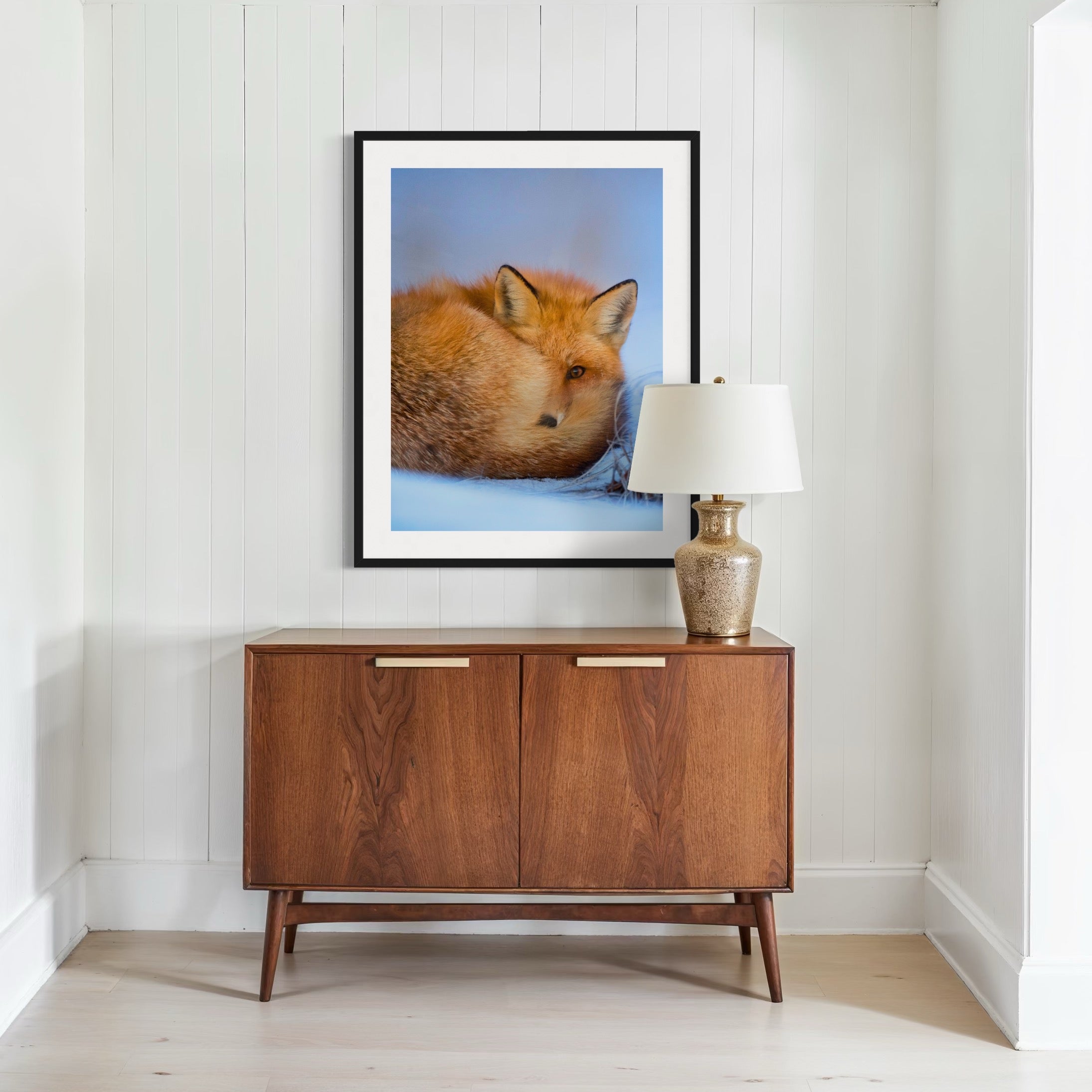 Curled in the Cold - Moderno Wall Art Wall Art