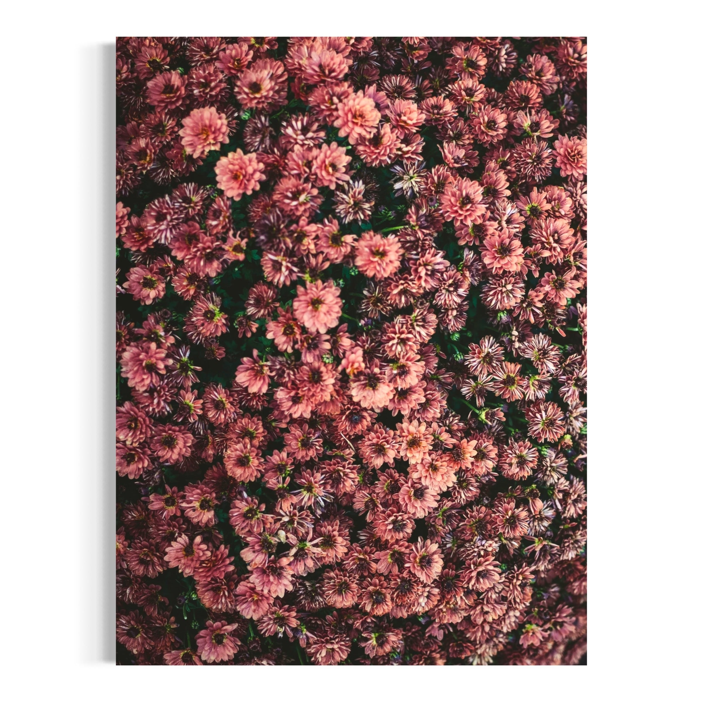 Petal Tapestry - Moderno Wall Art Wall Art