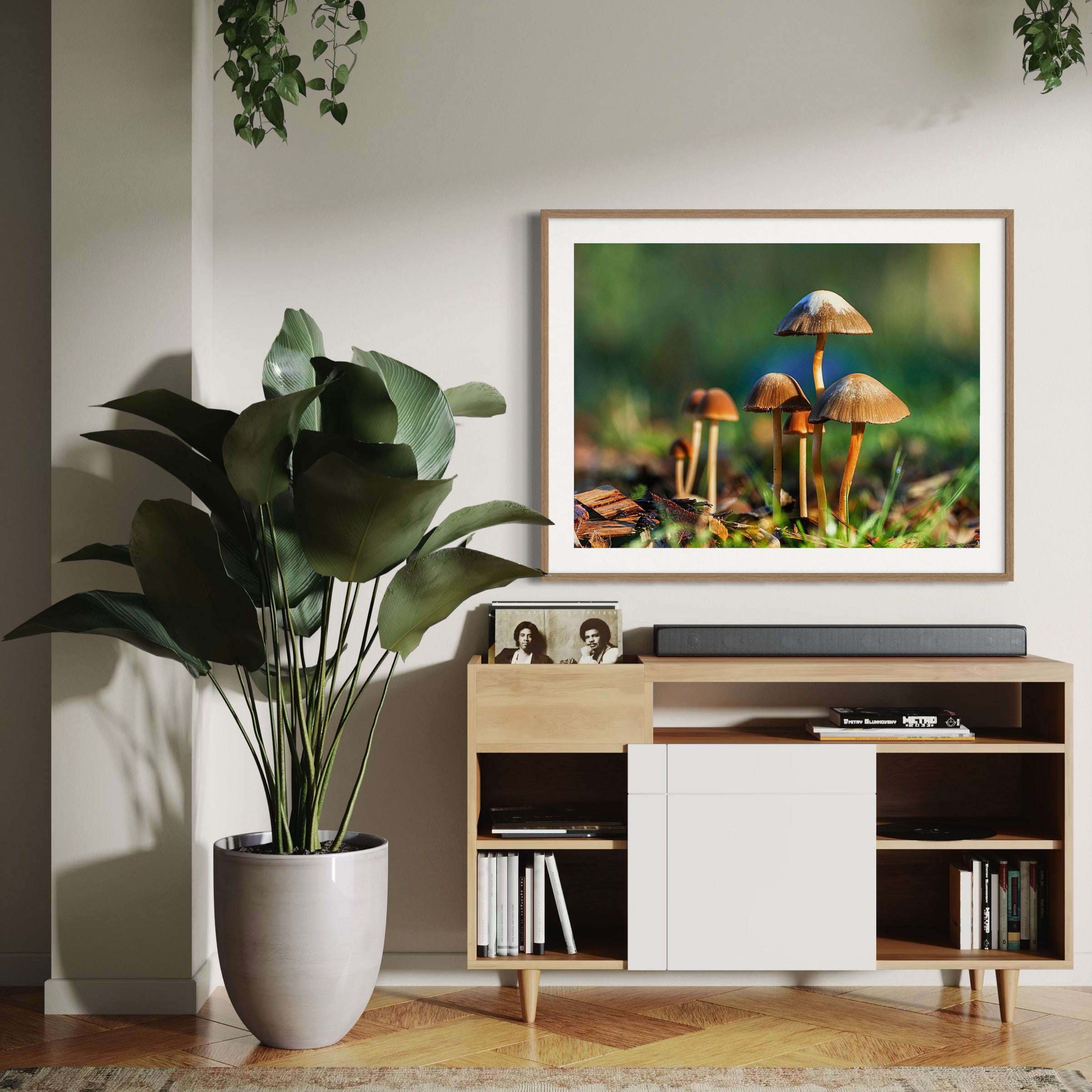 Sunlit Mushrooms - Moderno Wall Art Wall Art
