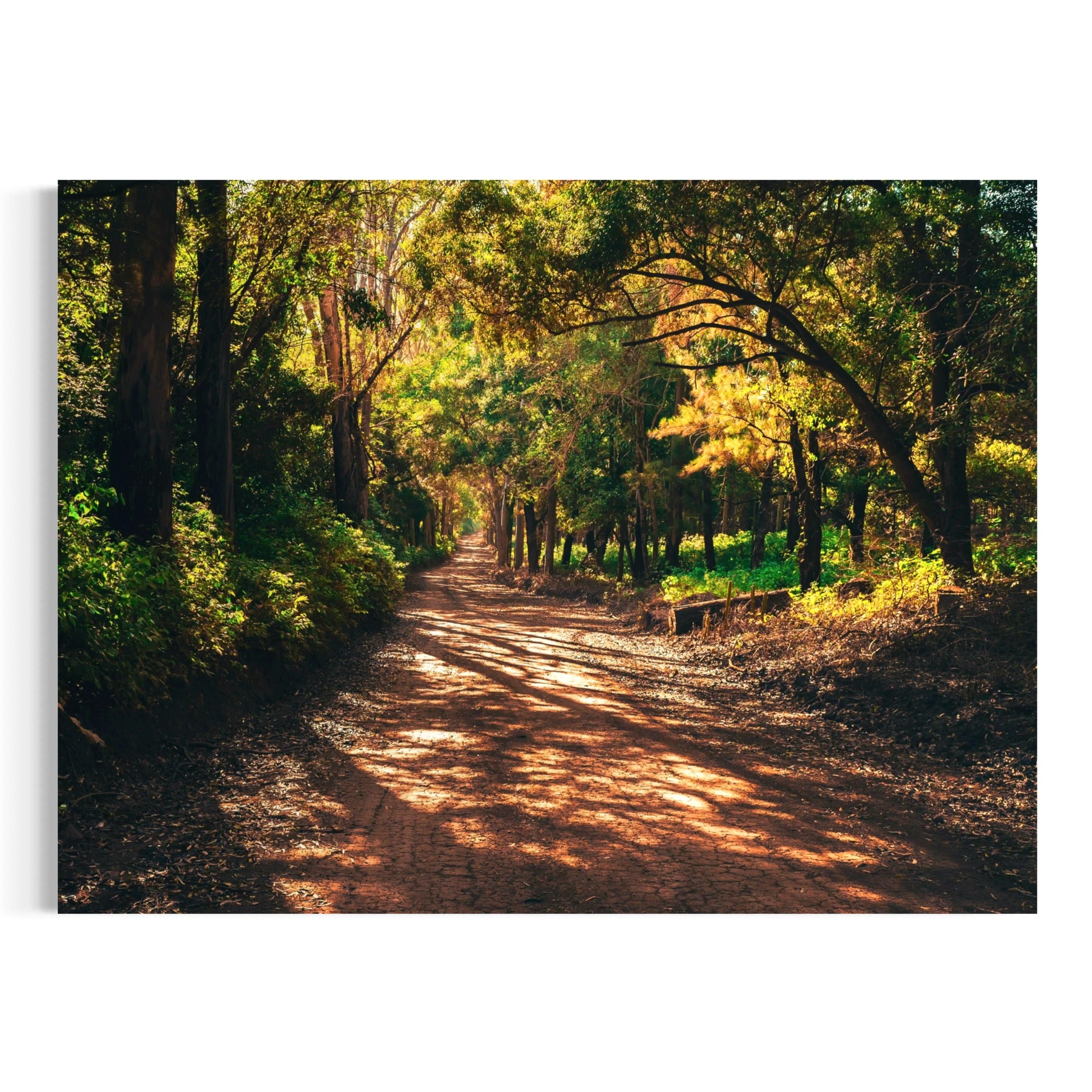 Nature’s Passage - Moderno Wall Art Wall Art