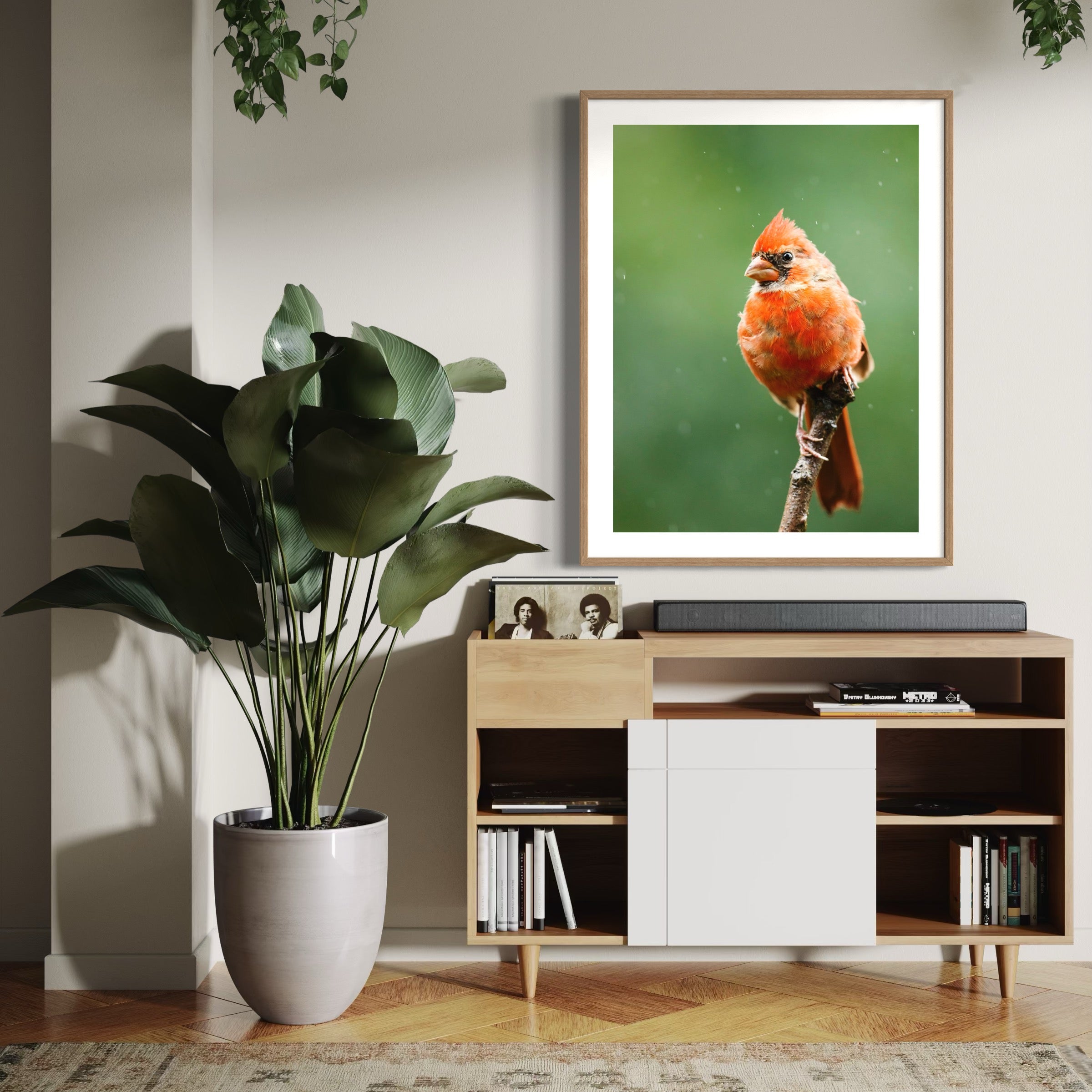 Northern Cardinal II - Moderno Wall Art Wall Art