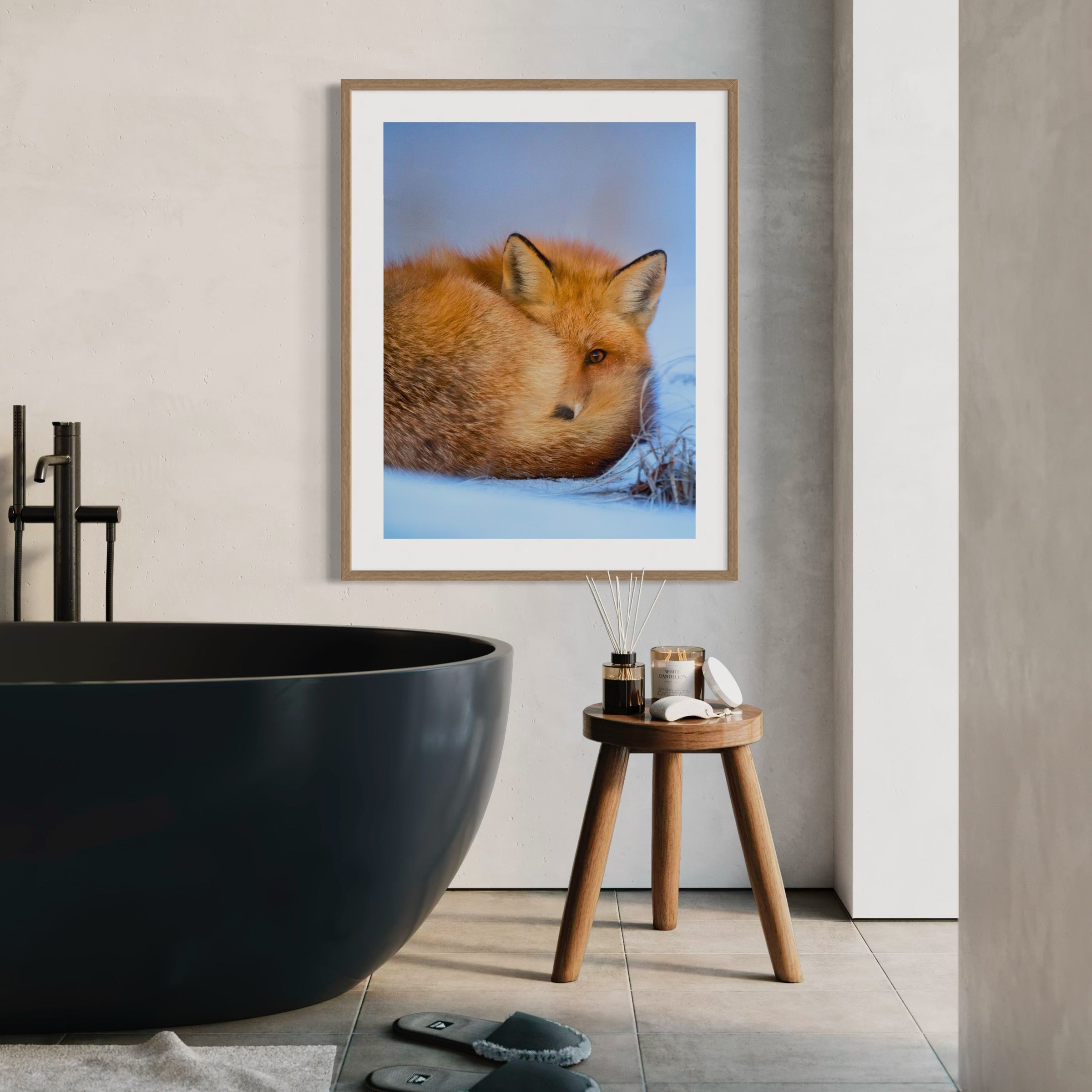 Curled in the Cold - Moderno Wall Art Wall Art