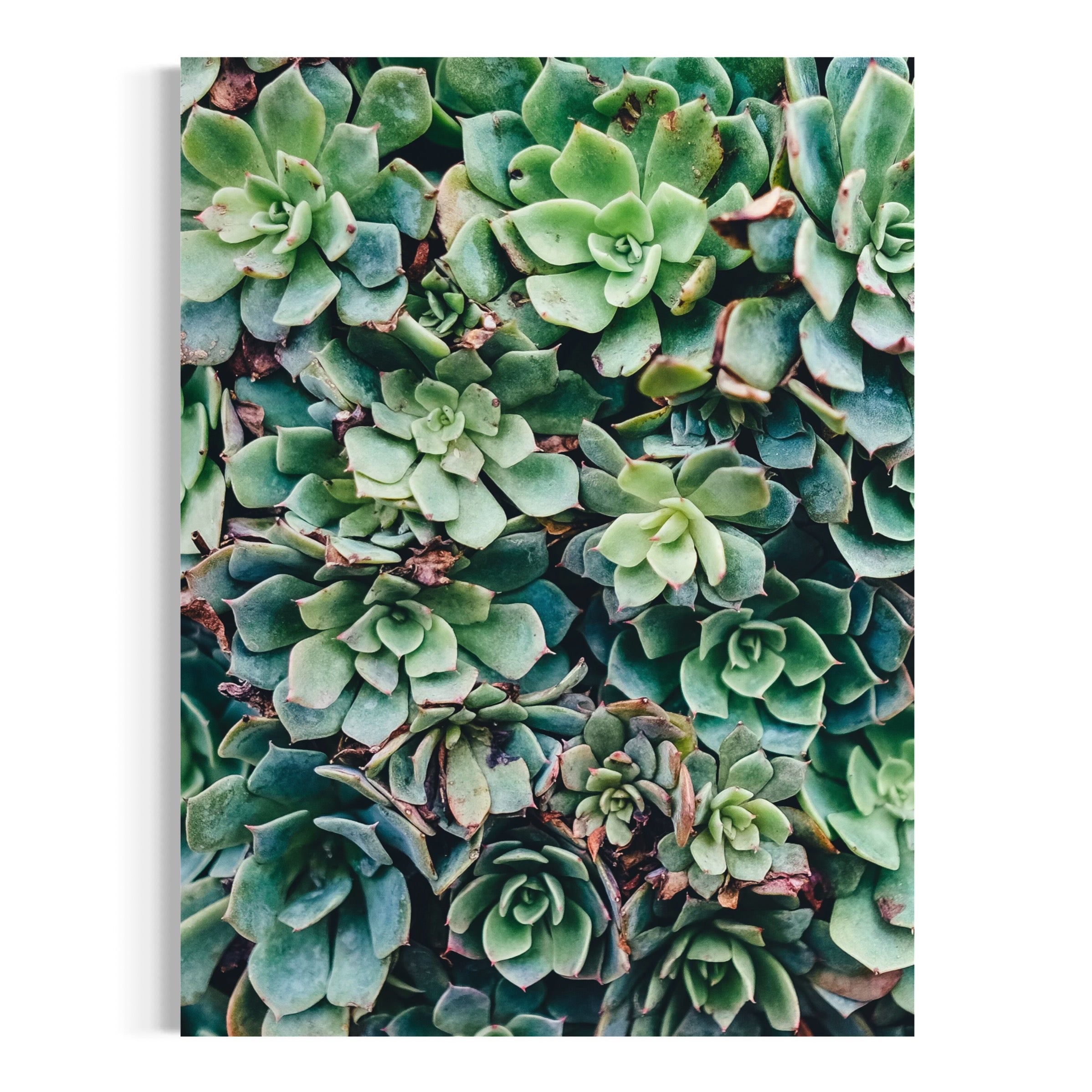 Green Symmetry - Moderno Wall Art Wall Art