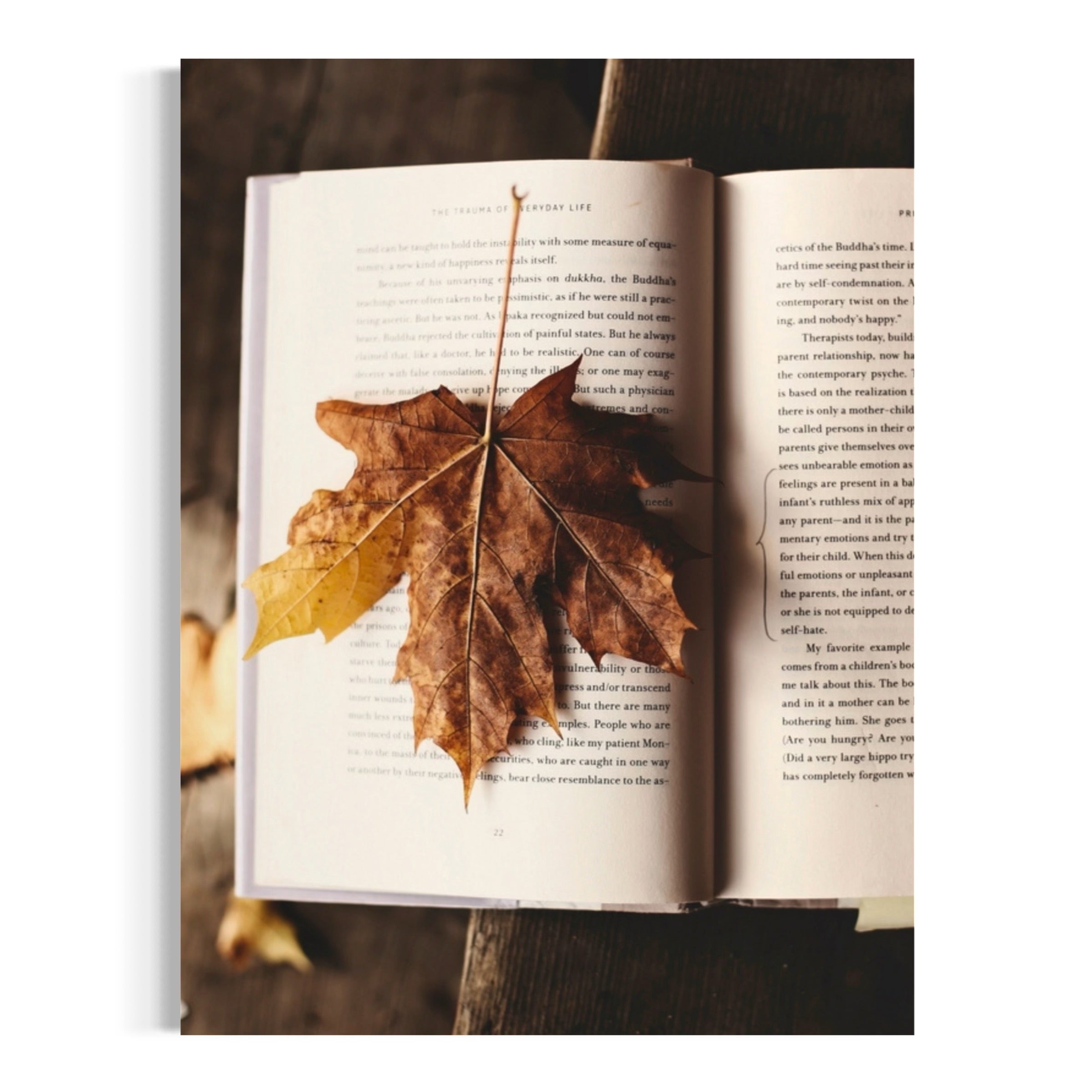 Autumn Chapter - Moderno Wall Art Wall Art