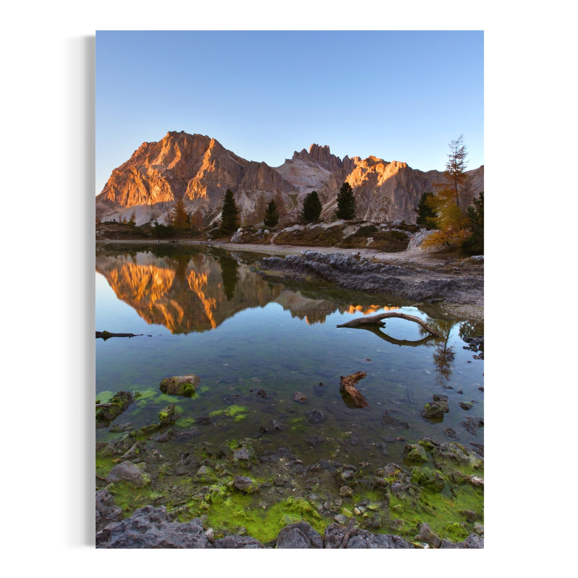 Morning Vista - Moderno Wall Art Wall Art