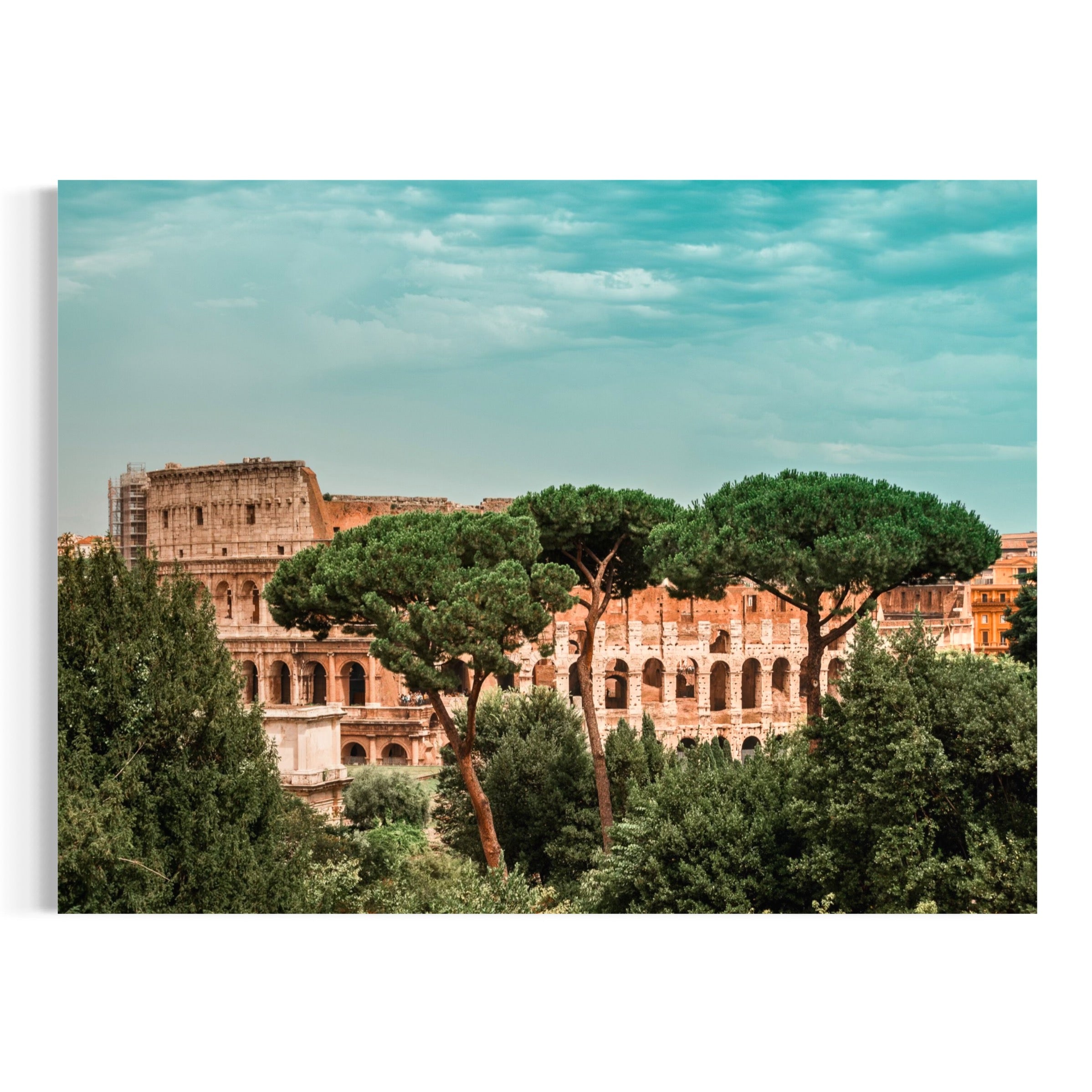 Colosseum Through the Trees