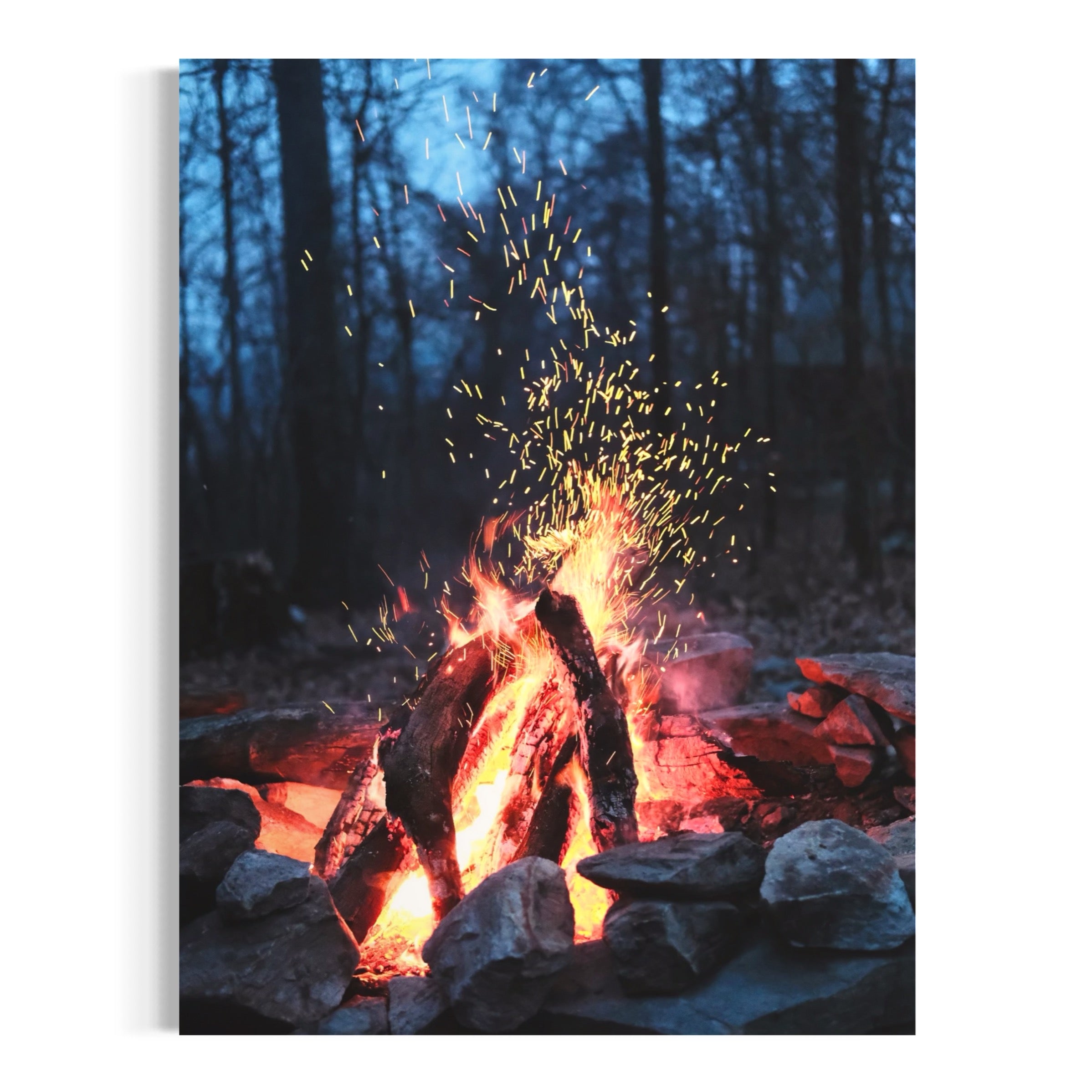 Campfire in the Woods - Moderno Wall Art Wall Art