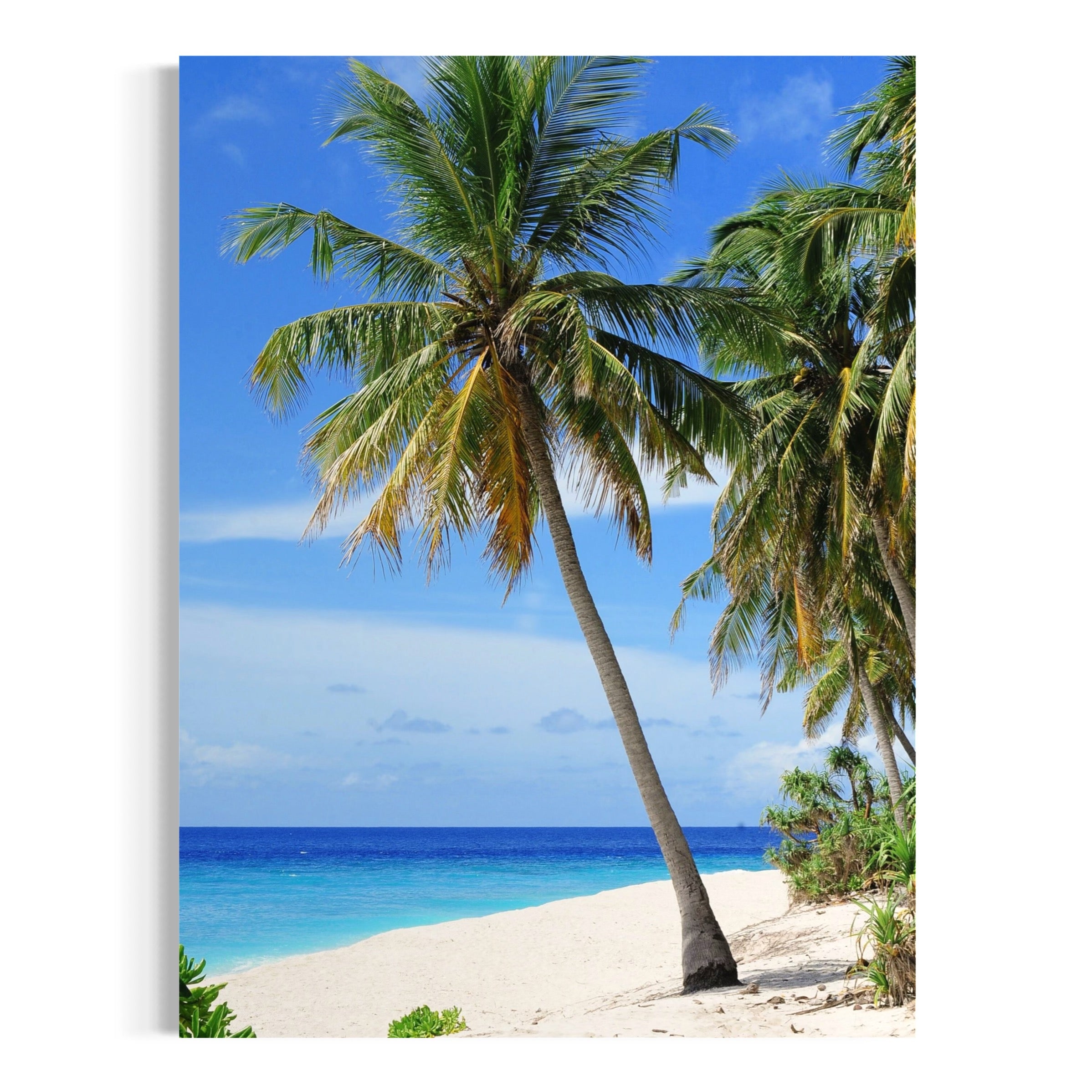 Tranquil Tropics - Moderno Wall Art Wall Art