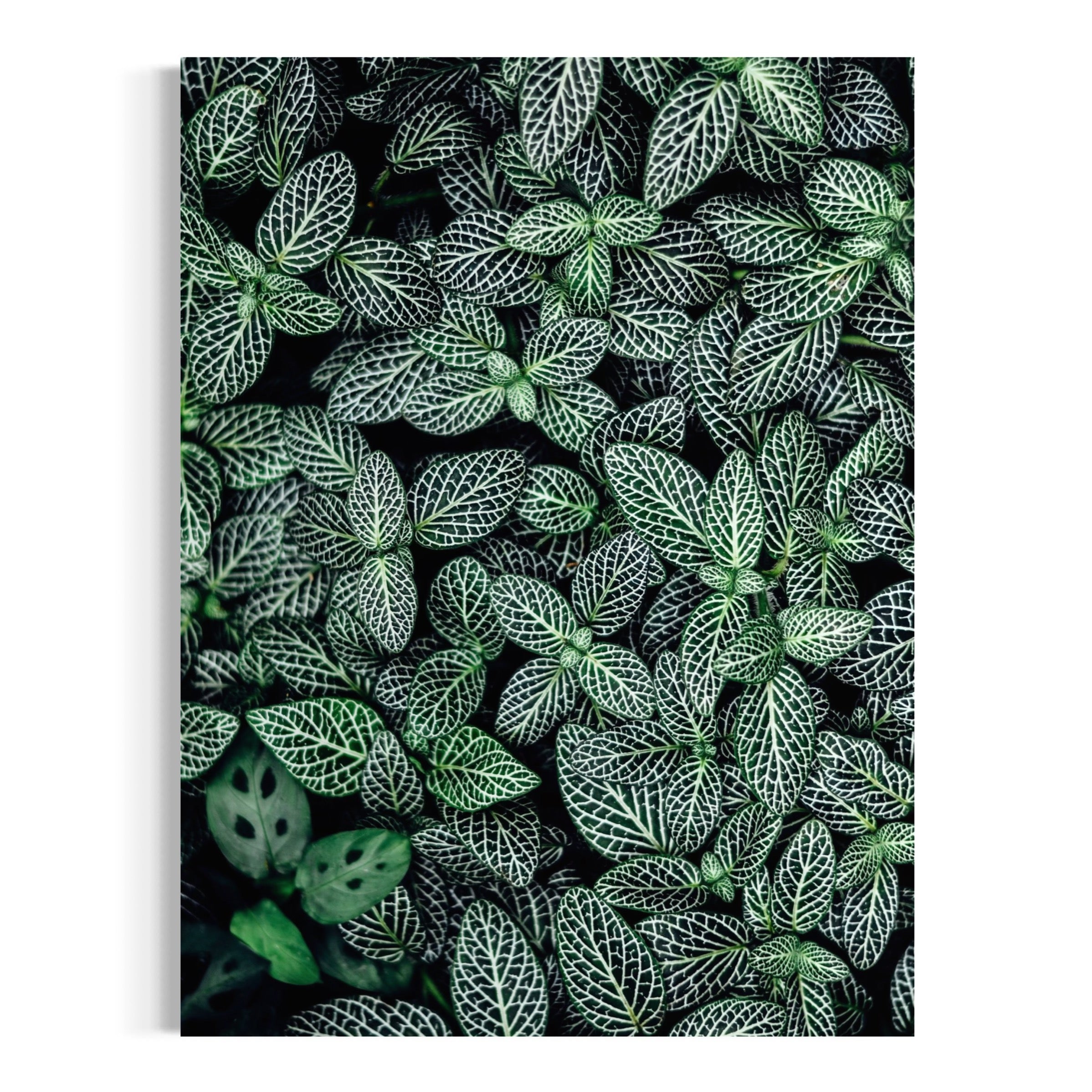 Intricate Greenery - Moderno Wall Art Wall Art