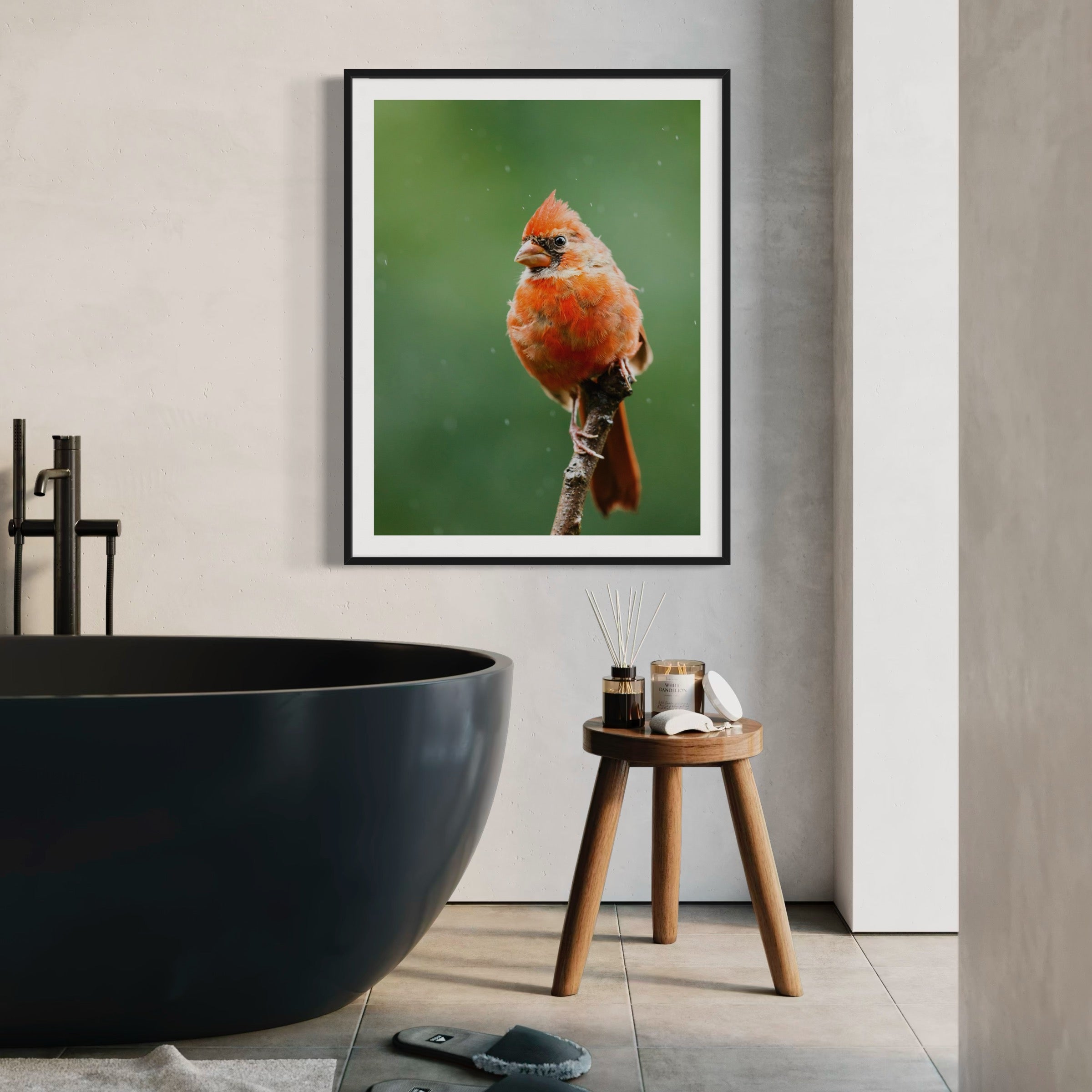 Northern Cardinal II - Moderno Wall Art Wall Art