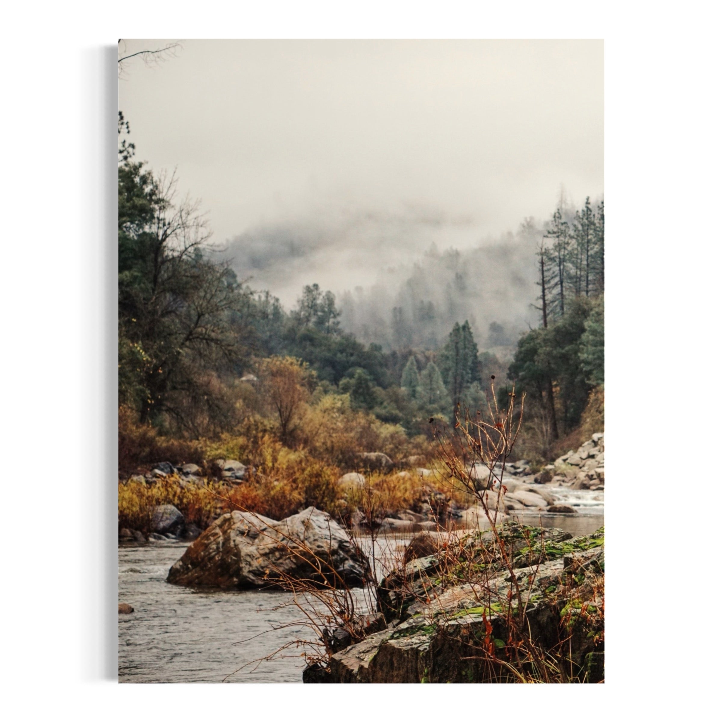 Serene Foggy Creekside - Moderno Wall Art Wall Art