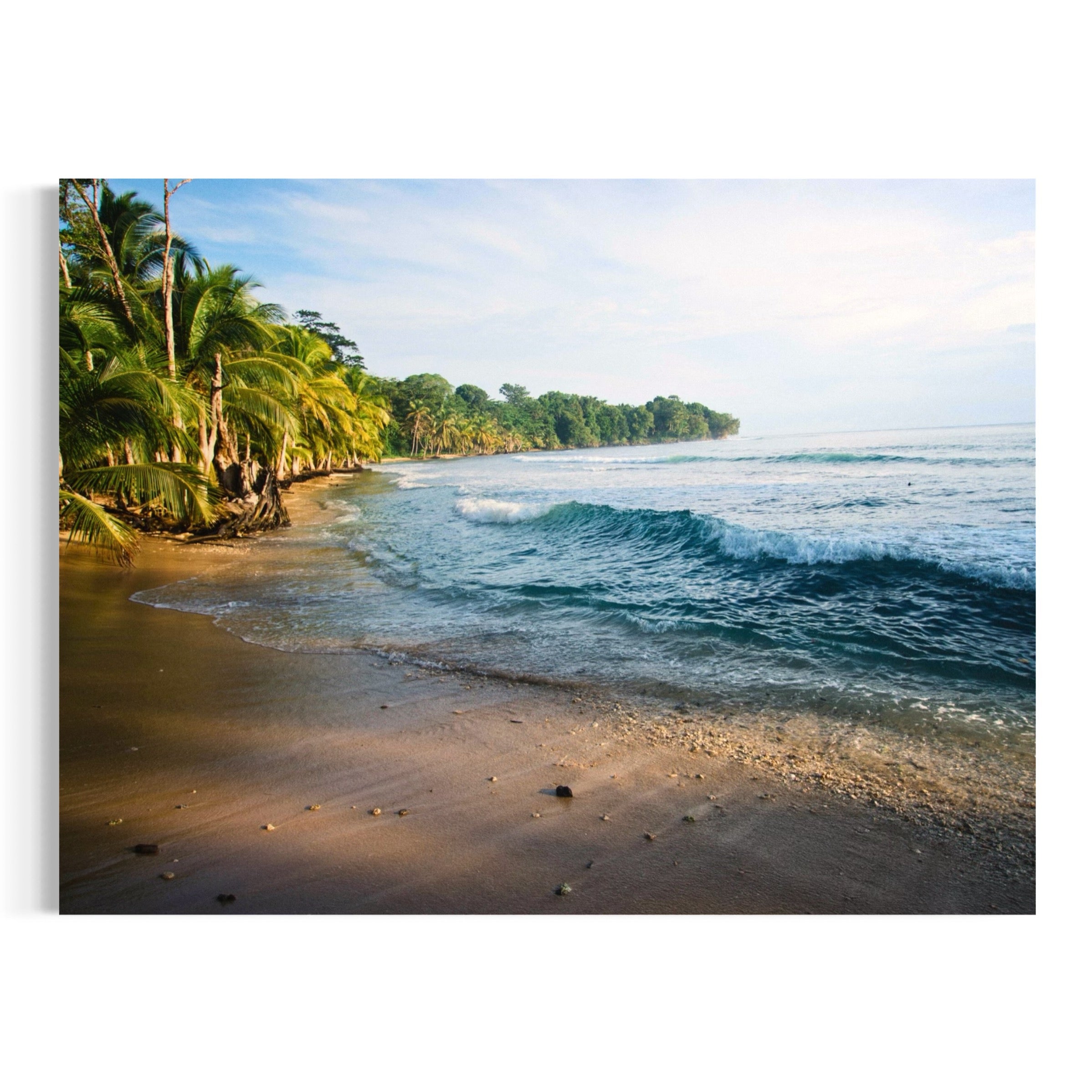 Tropical Shoreline - Moderno Wall Art Wall Art