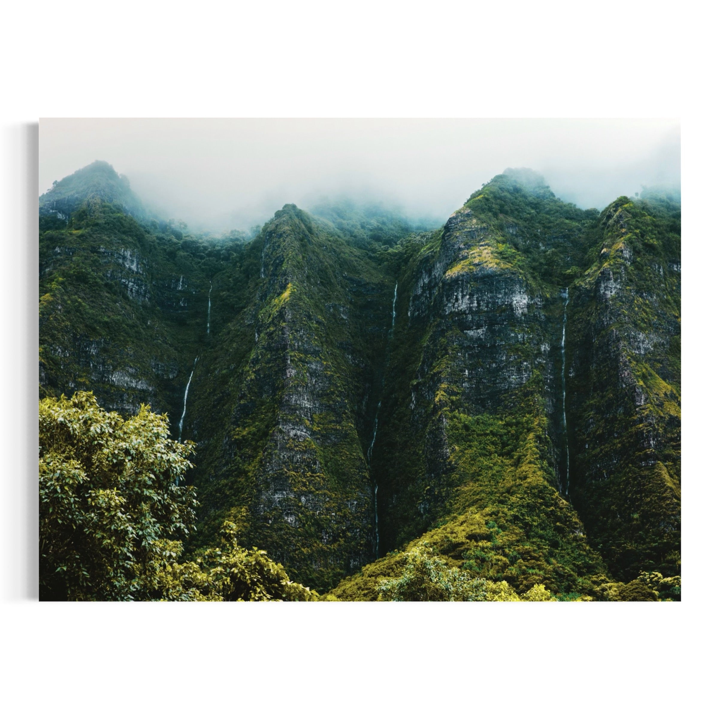Verdant Paradise - Moderno Wall Art Wall Art