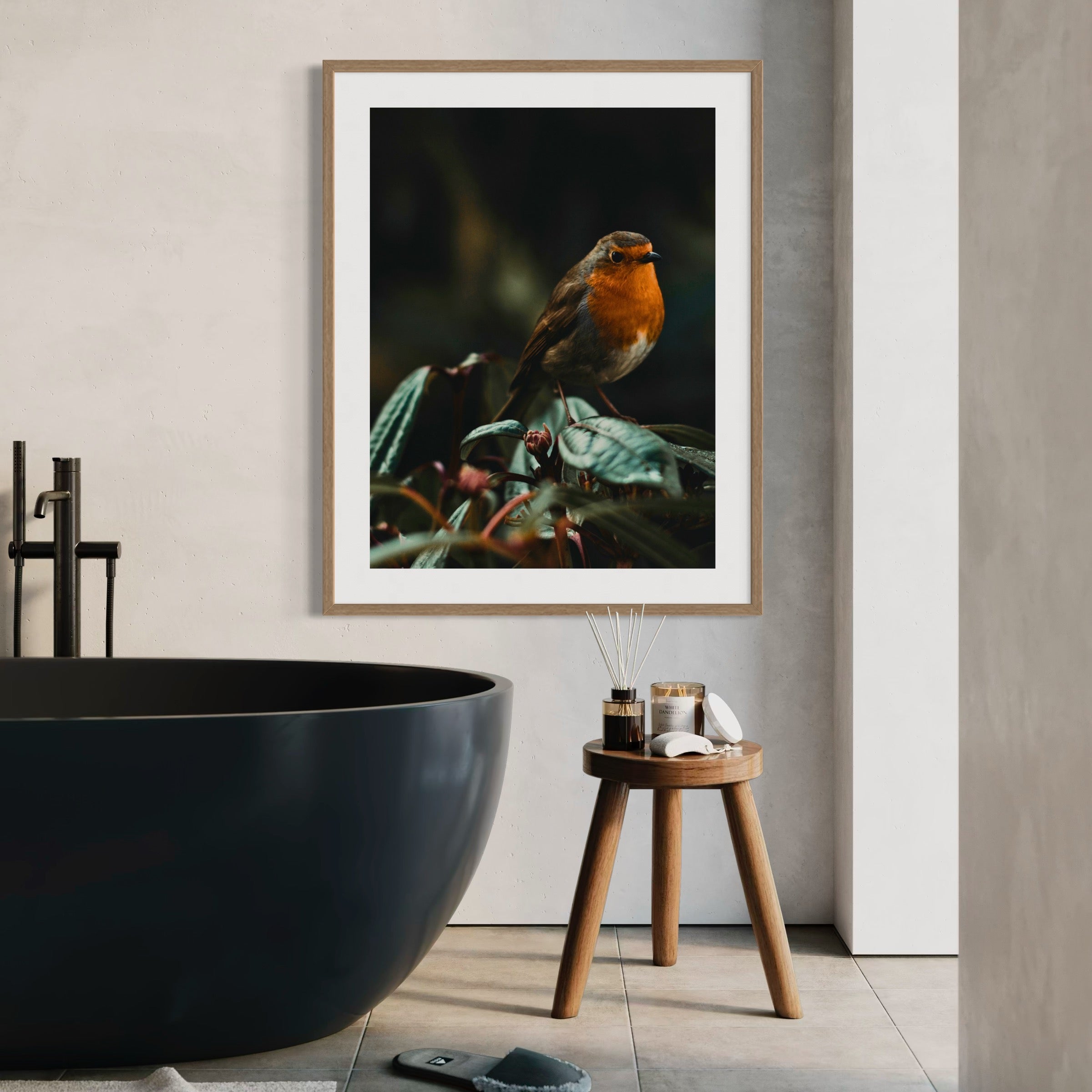 European Robin - Moderno Wall Art Wall Art