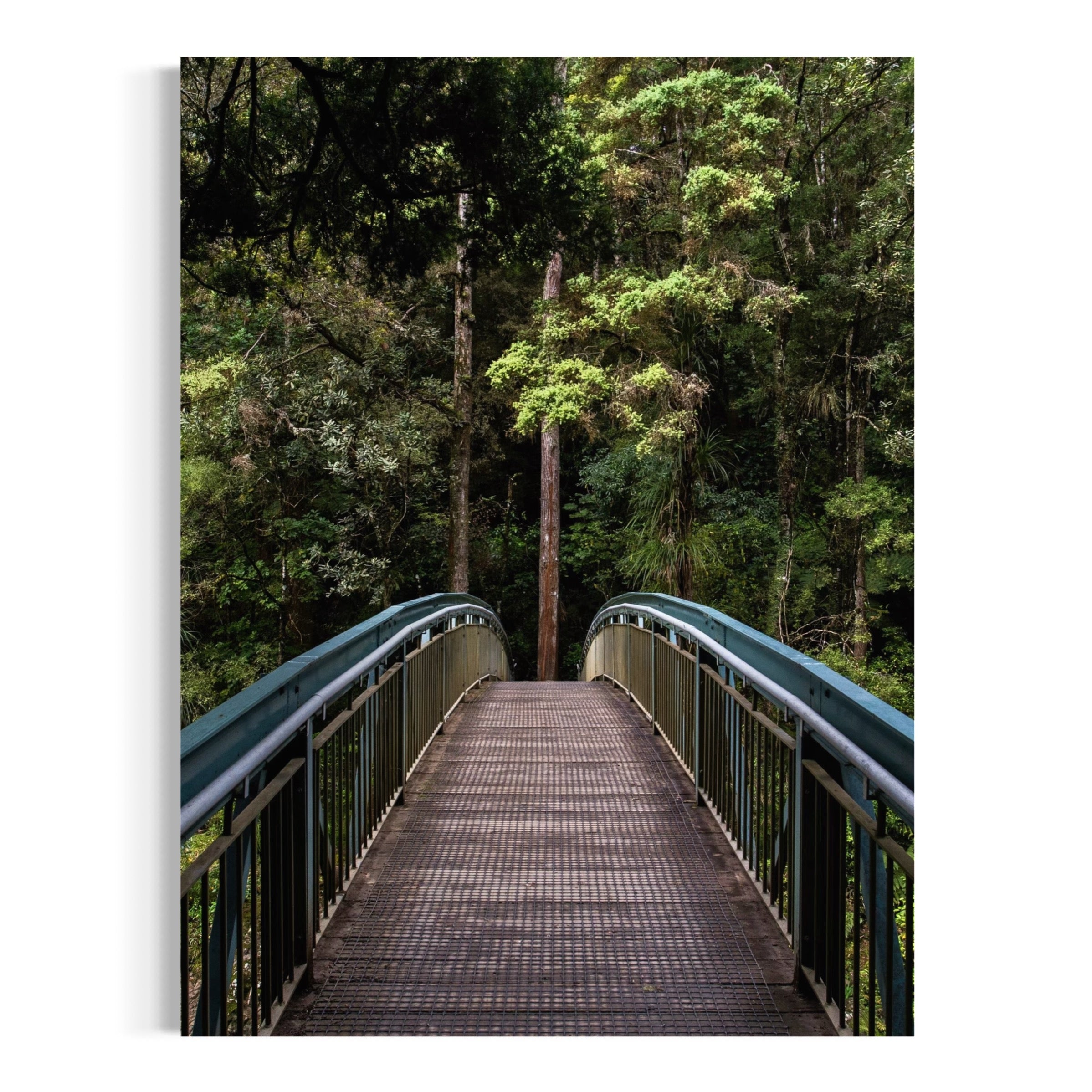 Whangarei Falls Walkway - Moderno Wall Art Wall Art