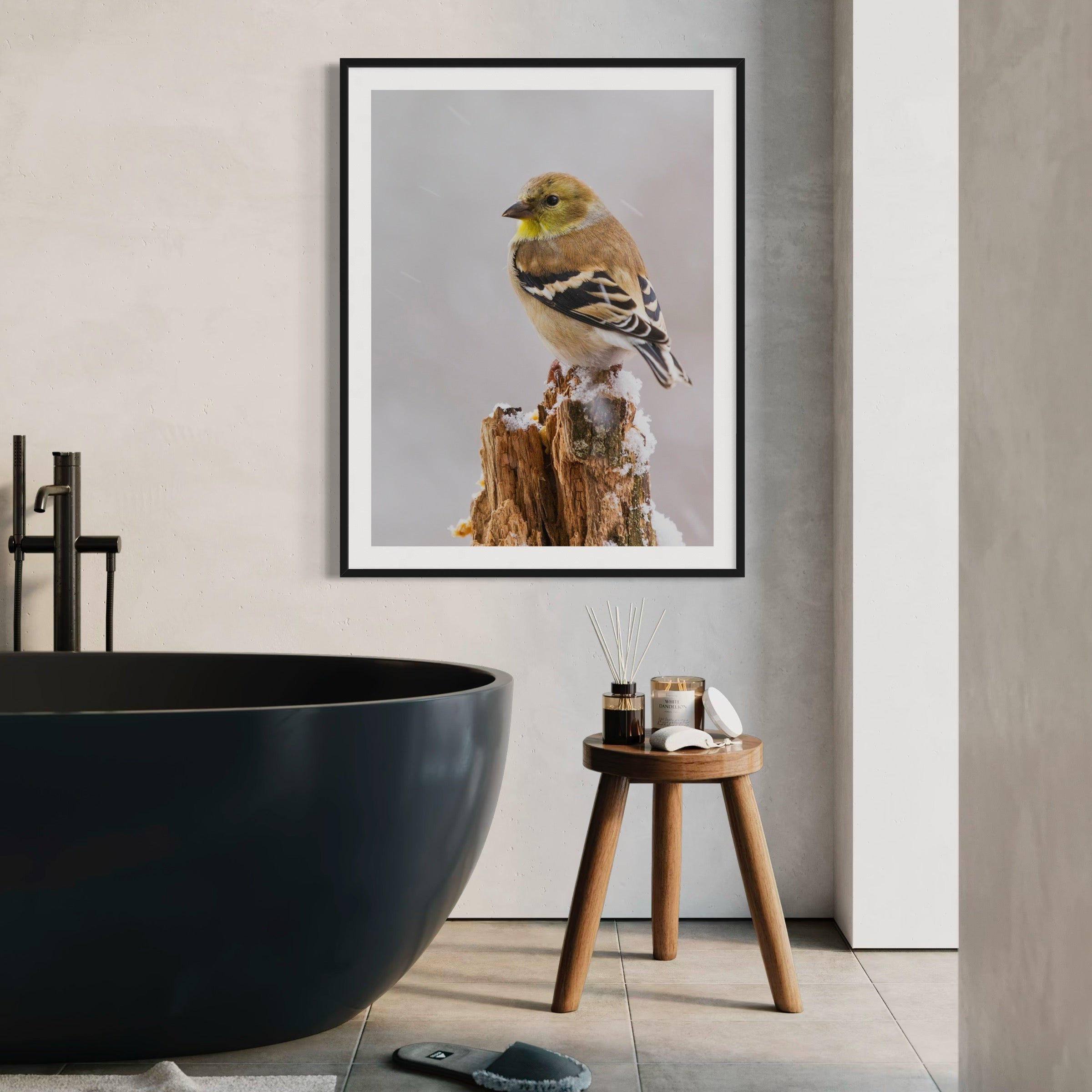 Winter Goldfinch - Moderno Wall Art Wall Art