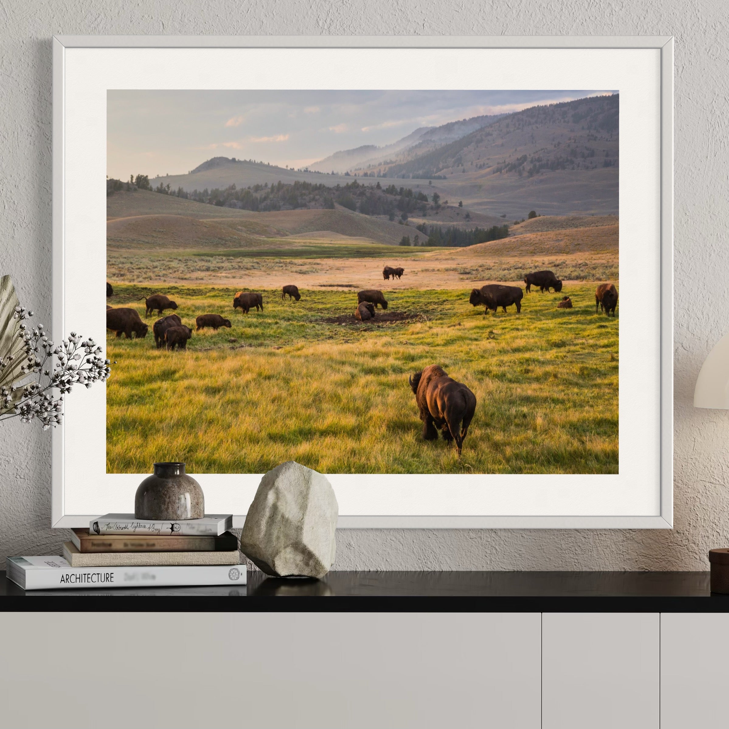Bison at Golden Hour - Moderno Wall Art Wall Art