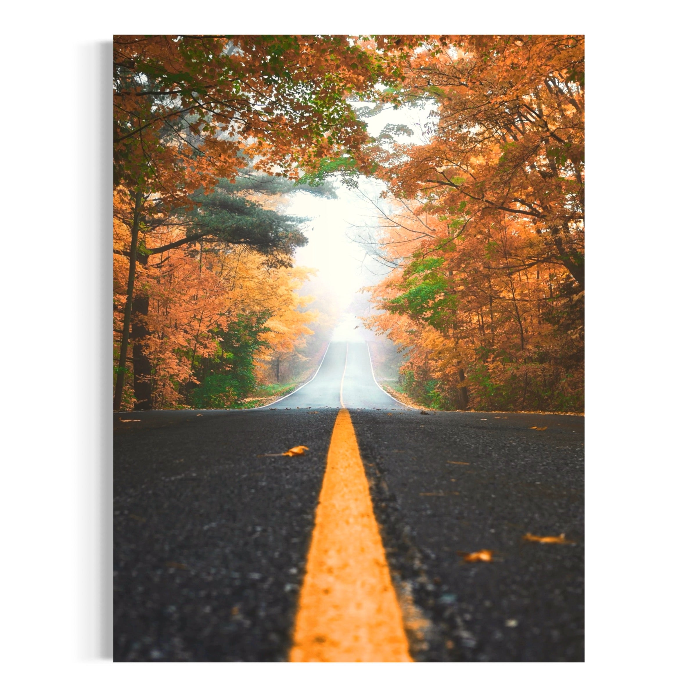 Road to Autumn - Moderno Wall Art Wall Art