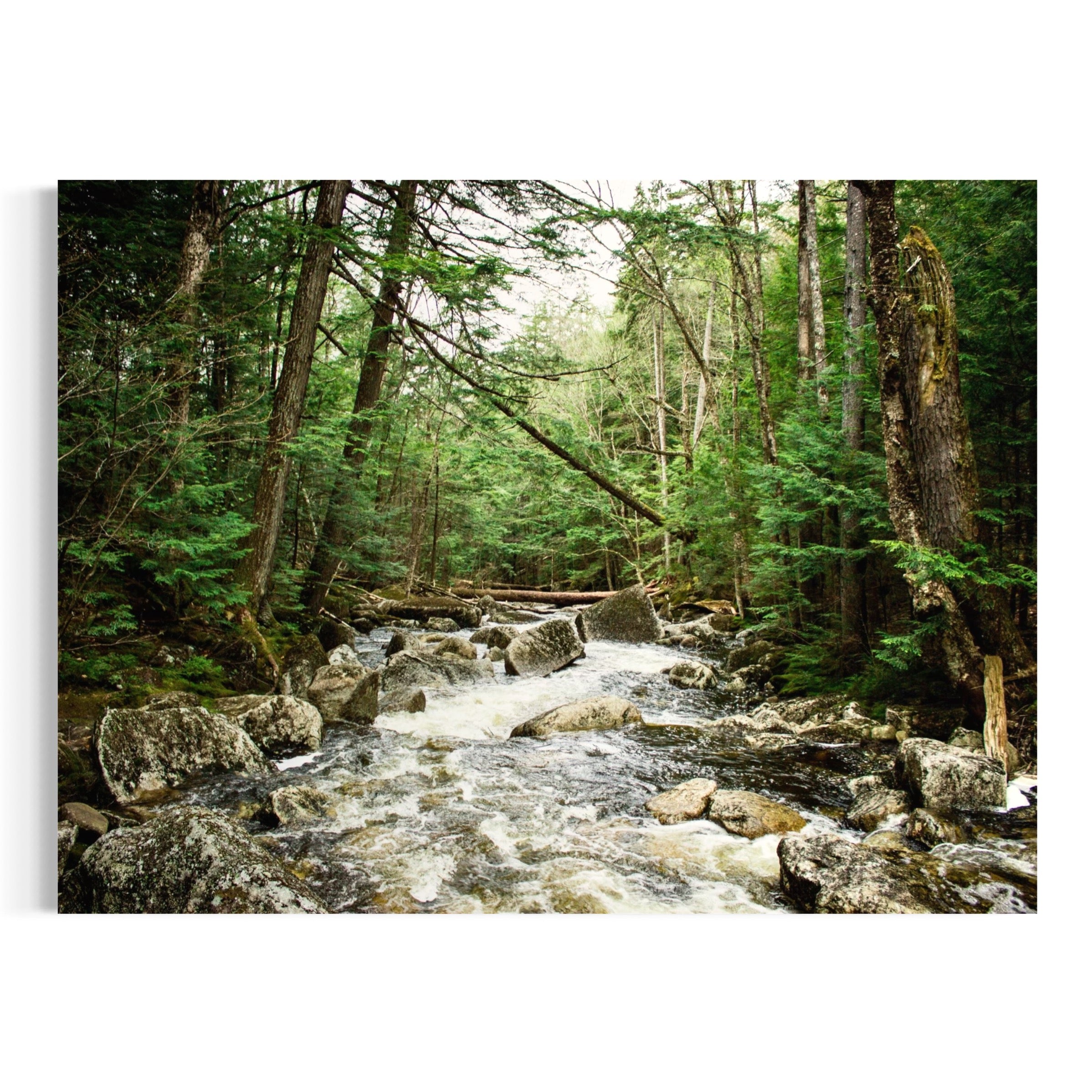 Babbling Brook - Moderno Wall Art Wall Art