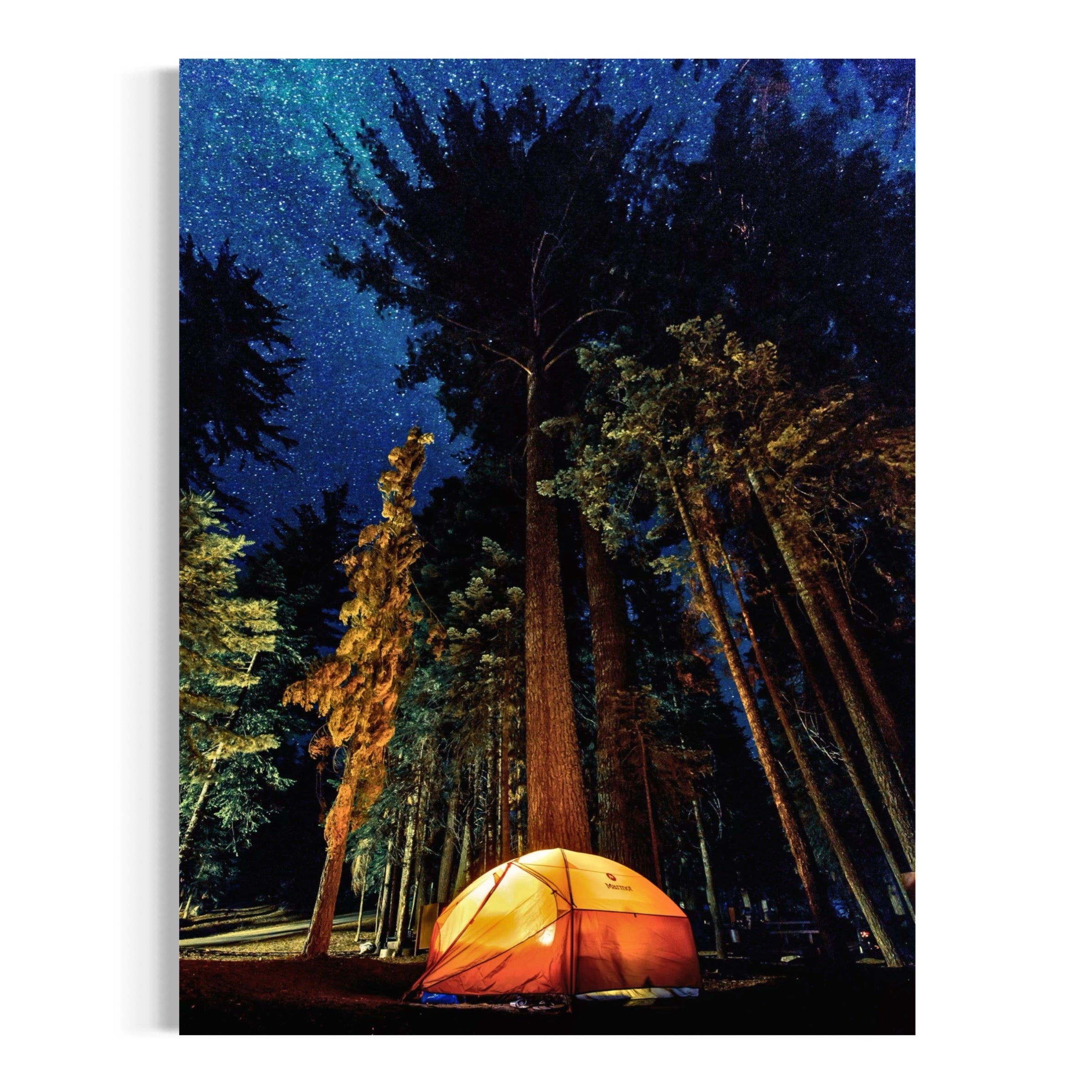 Camping in the Wilderness - Moderno Wall Art Wall Art