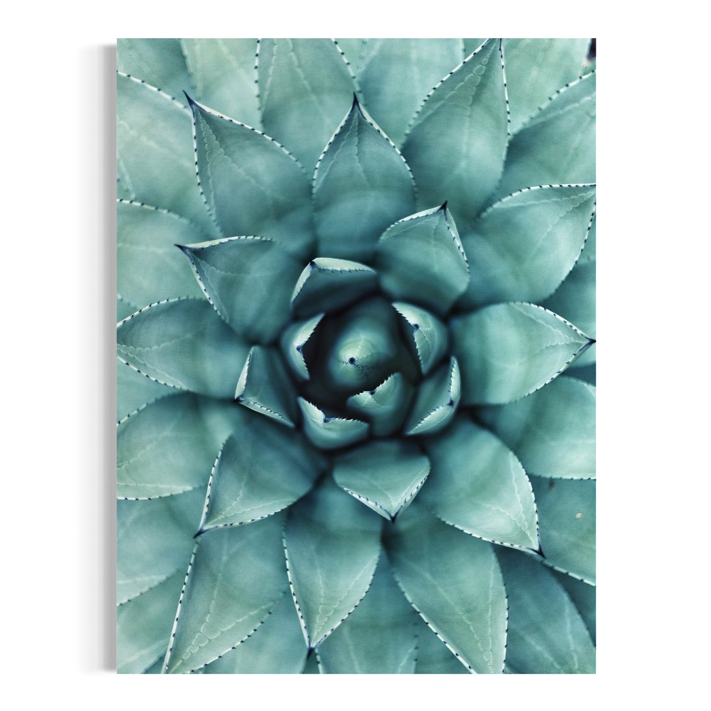 Nature's Geometry - Moderno Wall Art Wall Art