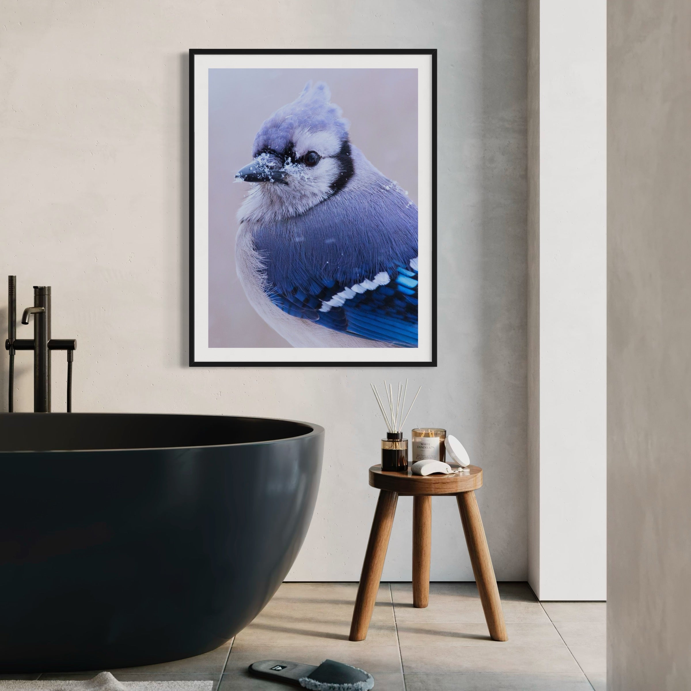 Blue Jay in Snowfall - Moderno Wall Art Wall Art