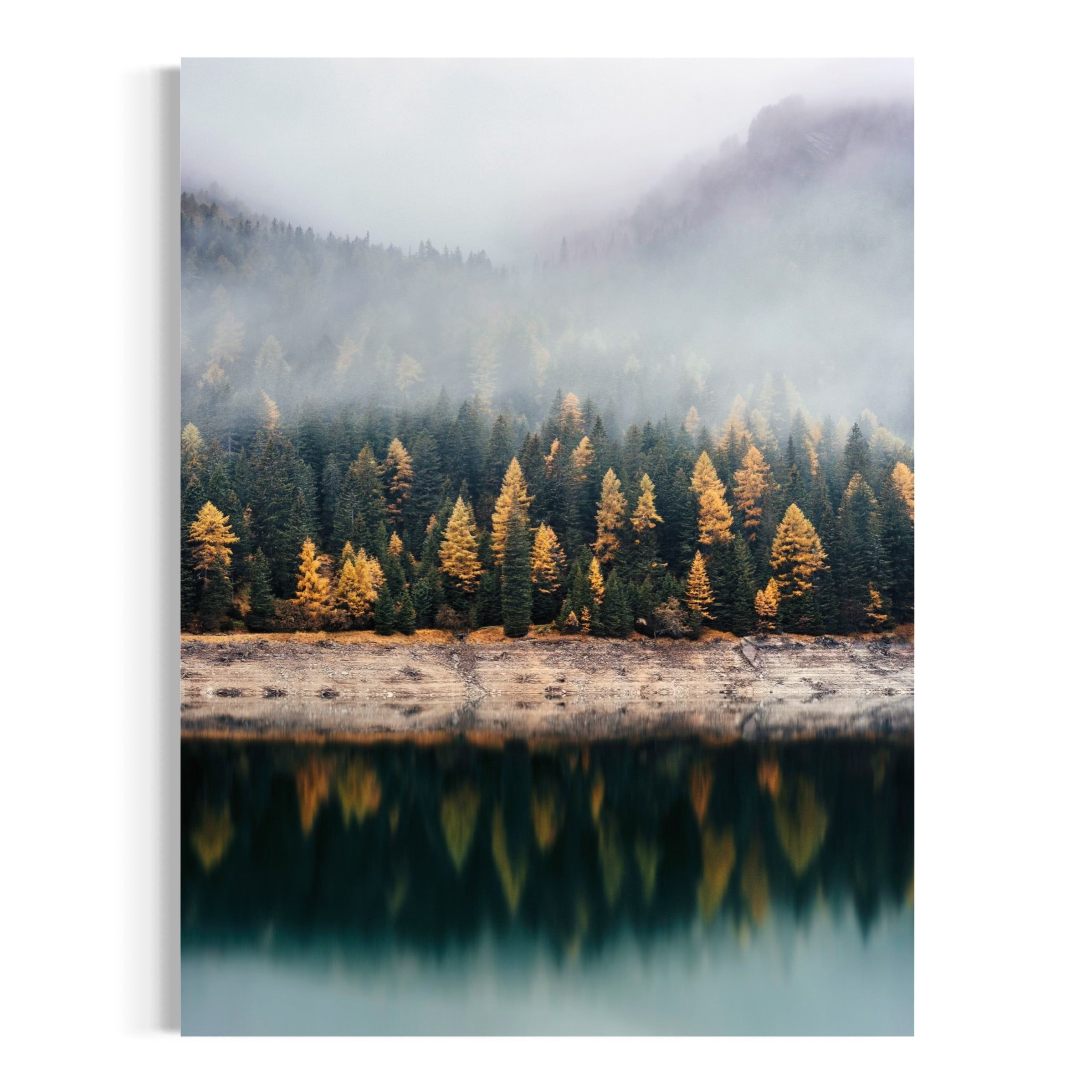 Foggy Reflections - Moderno Wall Art Wall Art