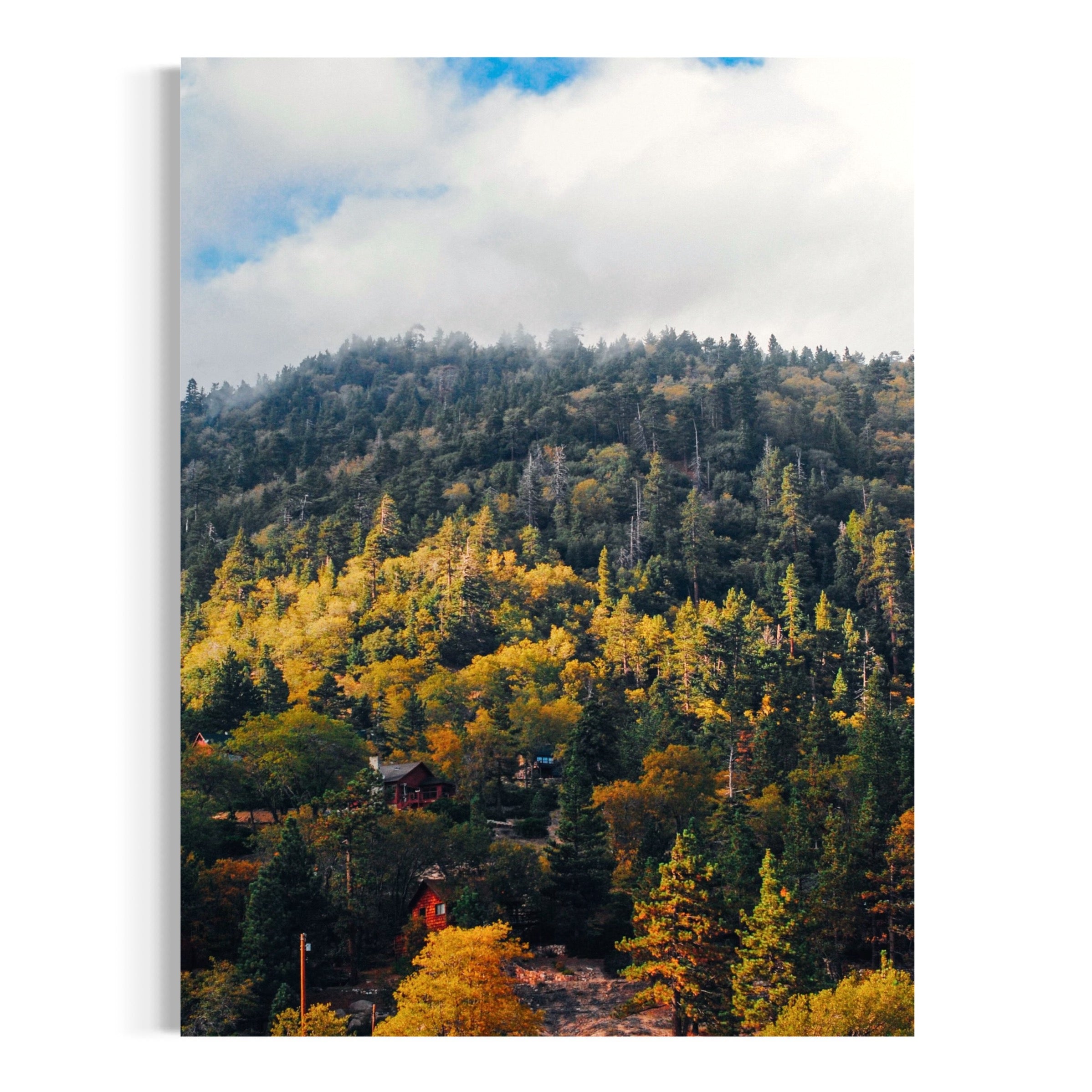 Autumn Hillside - Moderno Wall Art Wall Art