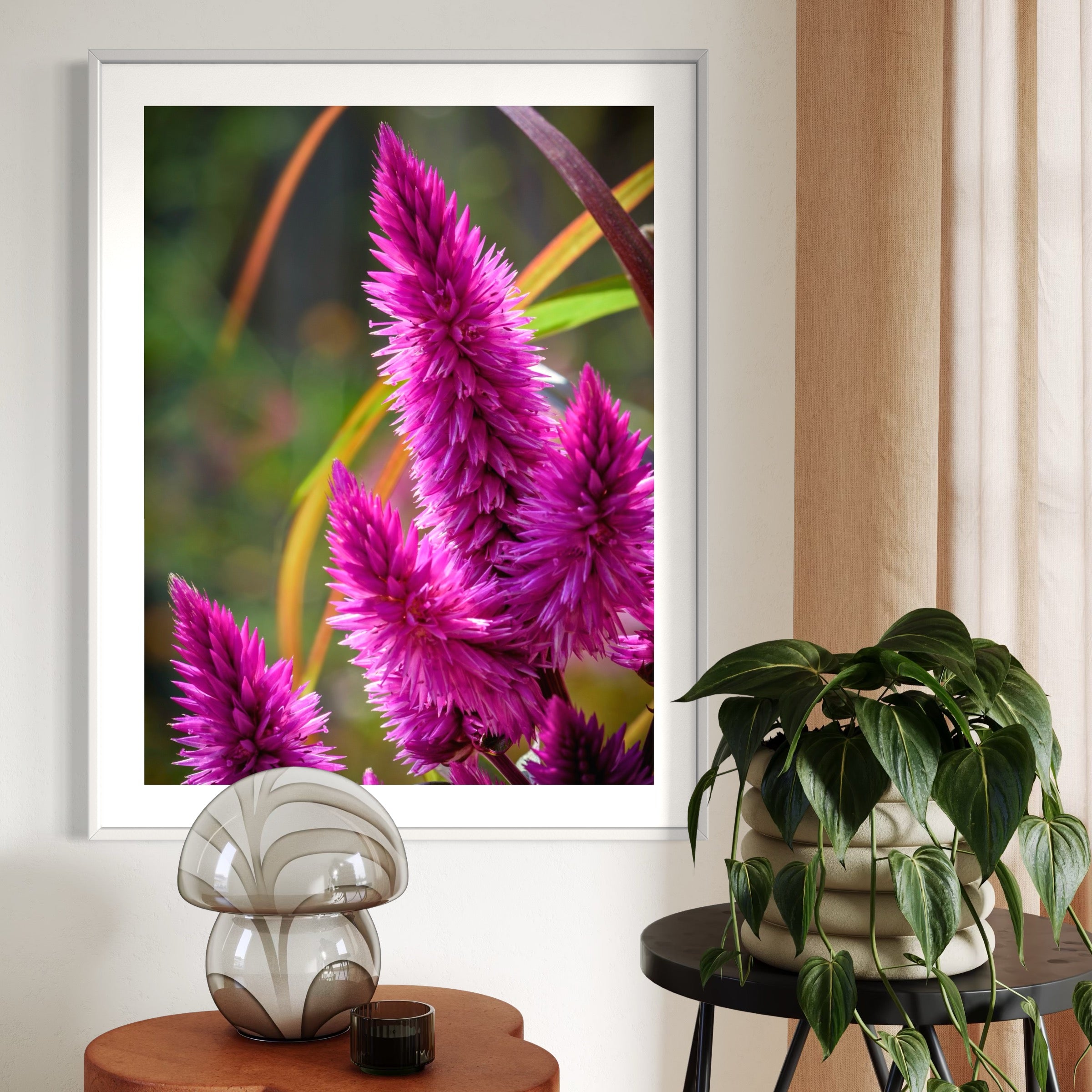 Celosia in Bloom - Moderno Wall Art Wall Art