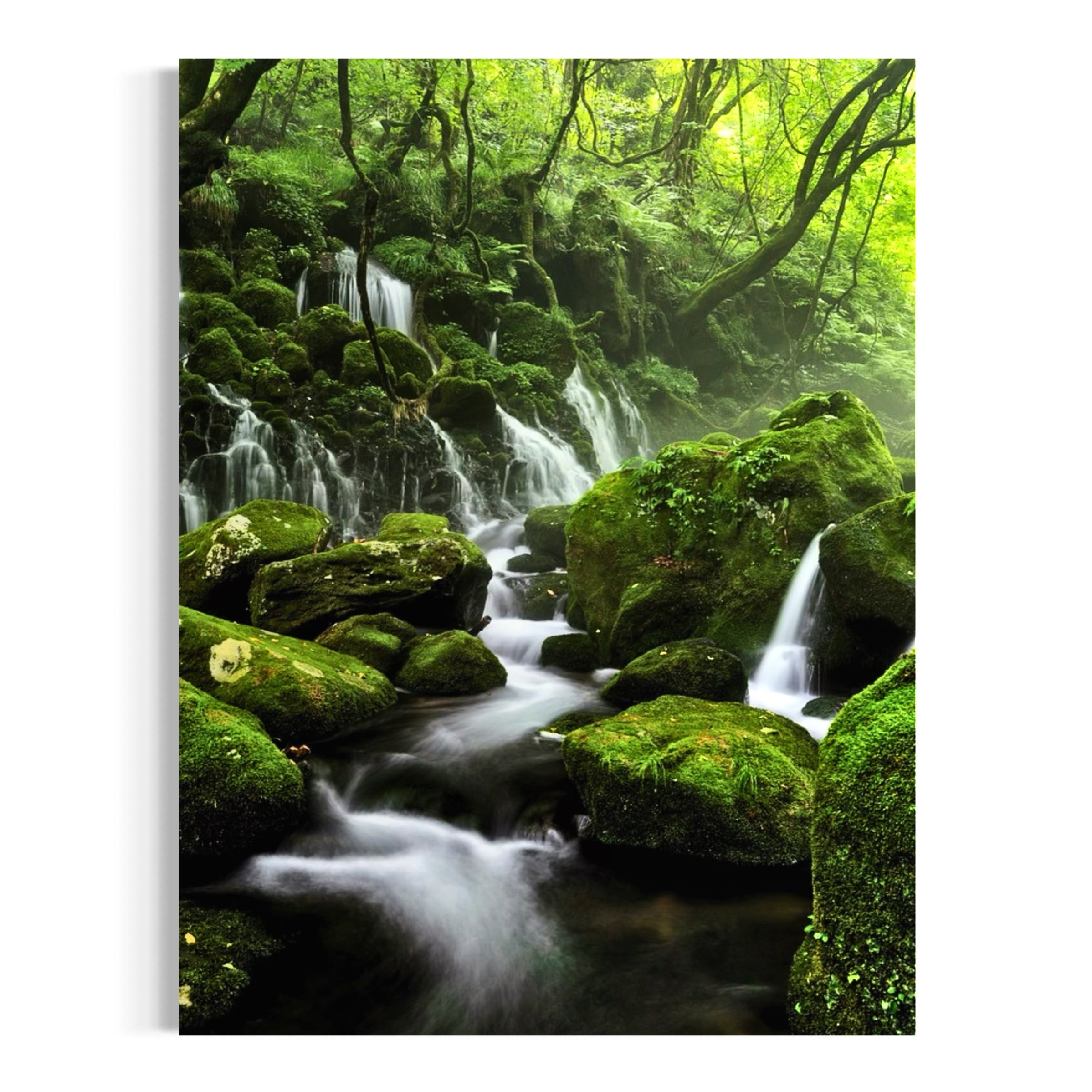 Jungle Cascade - Moderno Wall Art Wall Art