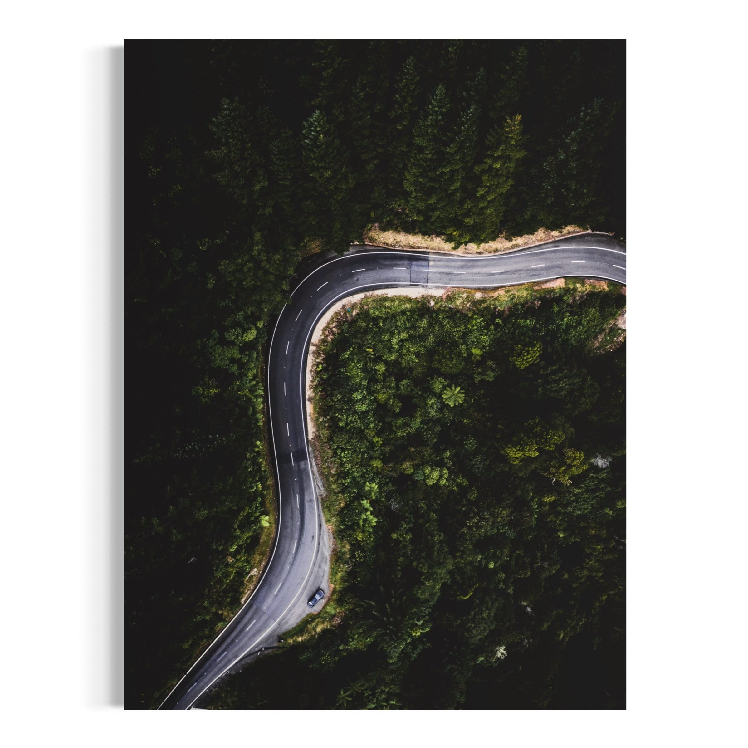 New Zealand Highway - Moderno Wall Art Wall Art