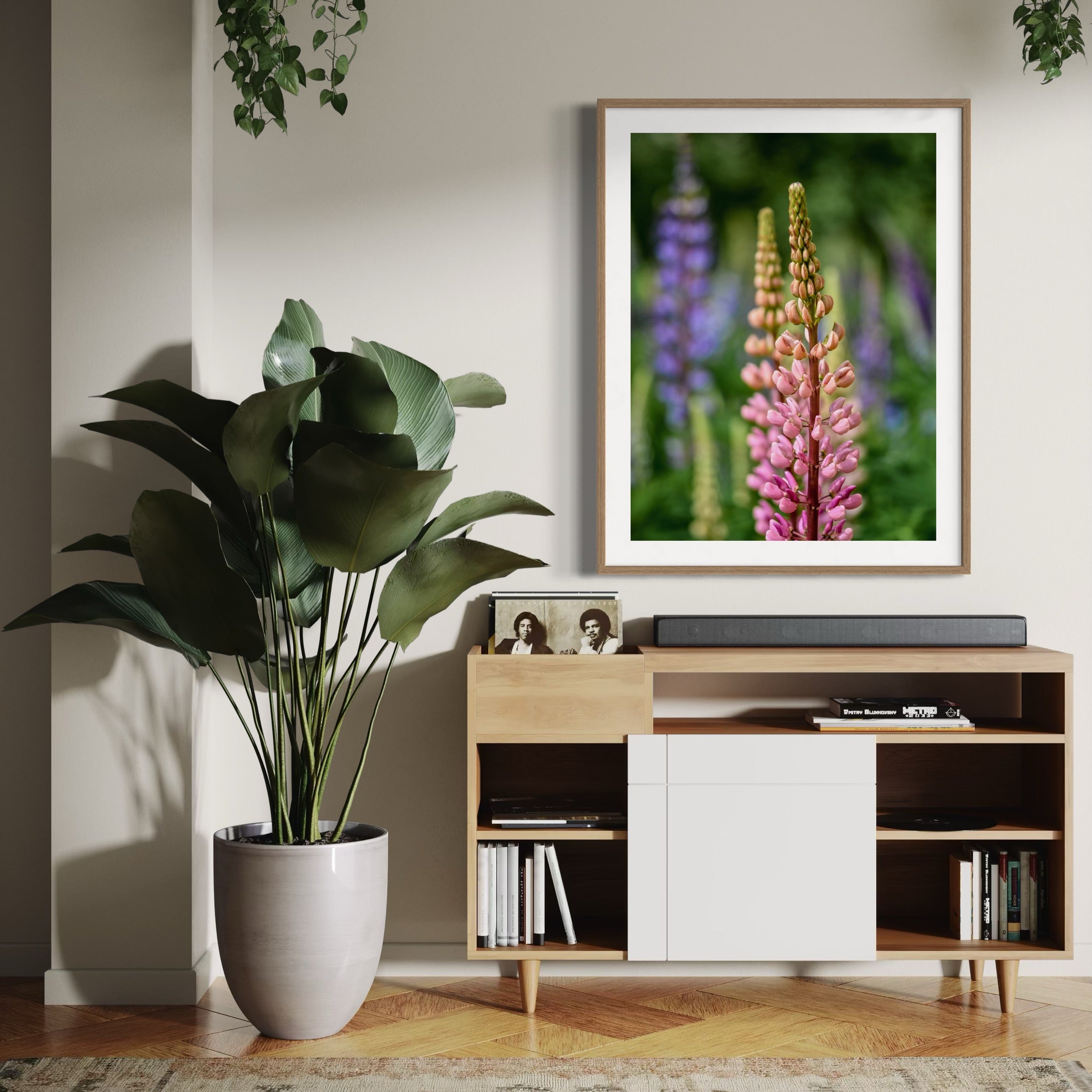 Lupine Meadow - Moderno Wall Art Wall Art