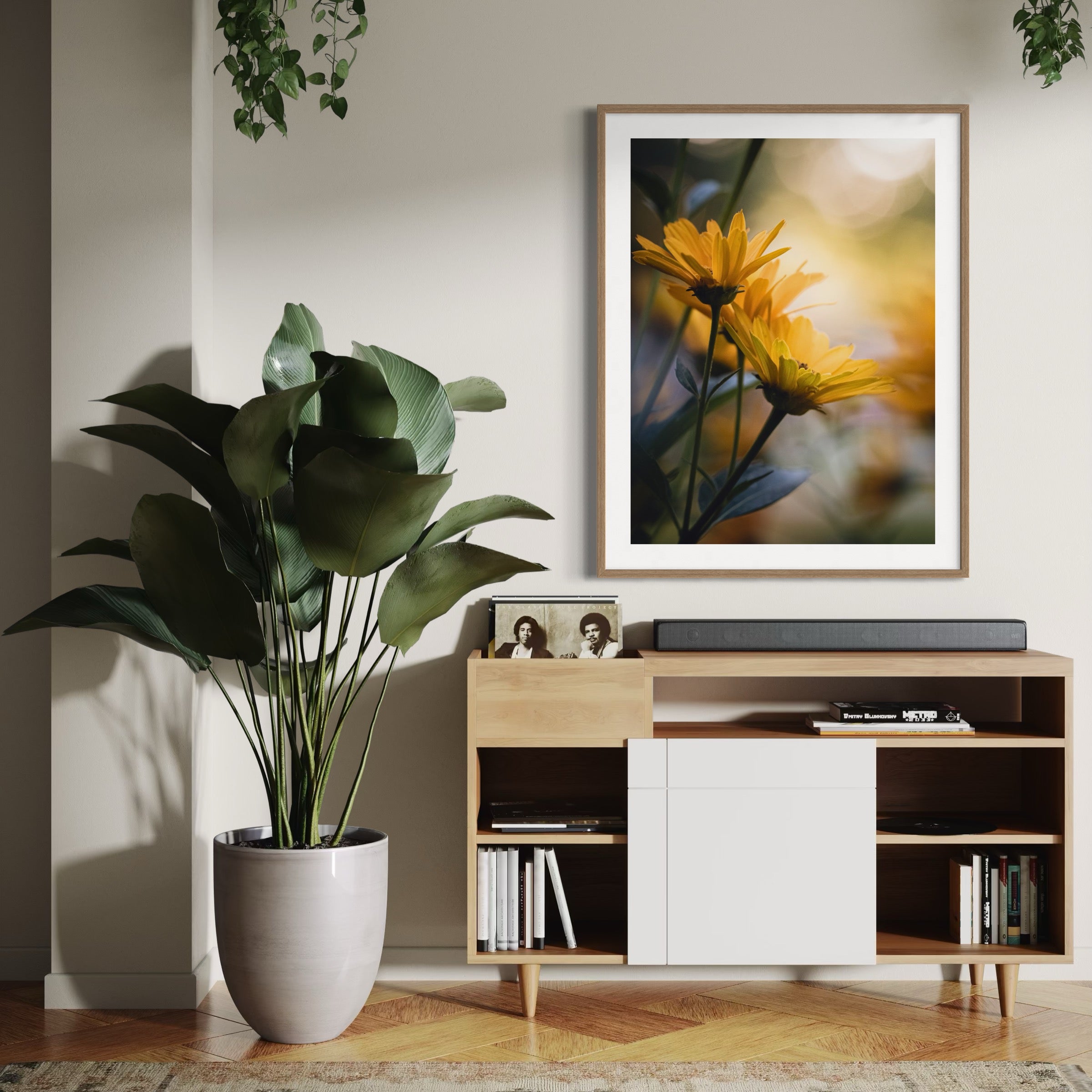 Daisy Radiance - Moderno Wall Art Wall Art