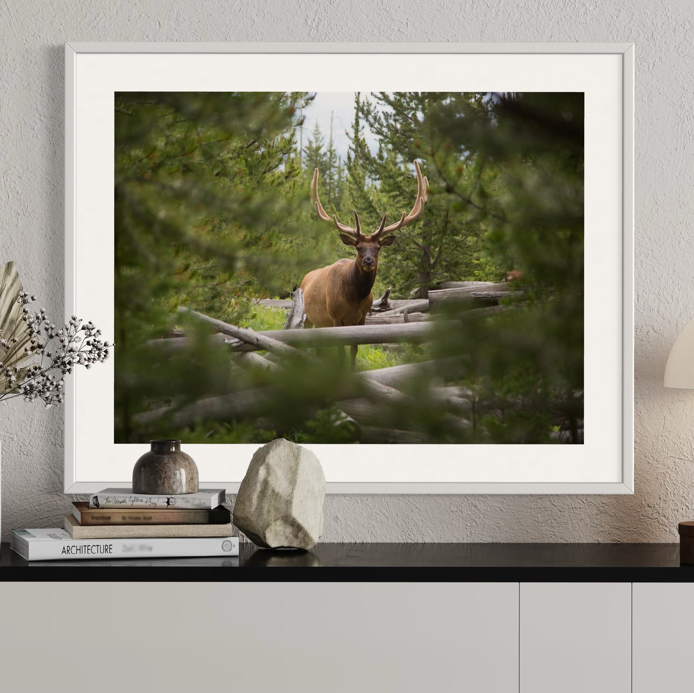 Majestic Elk in the Forest - Moderno Wall Art Wall Art