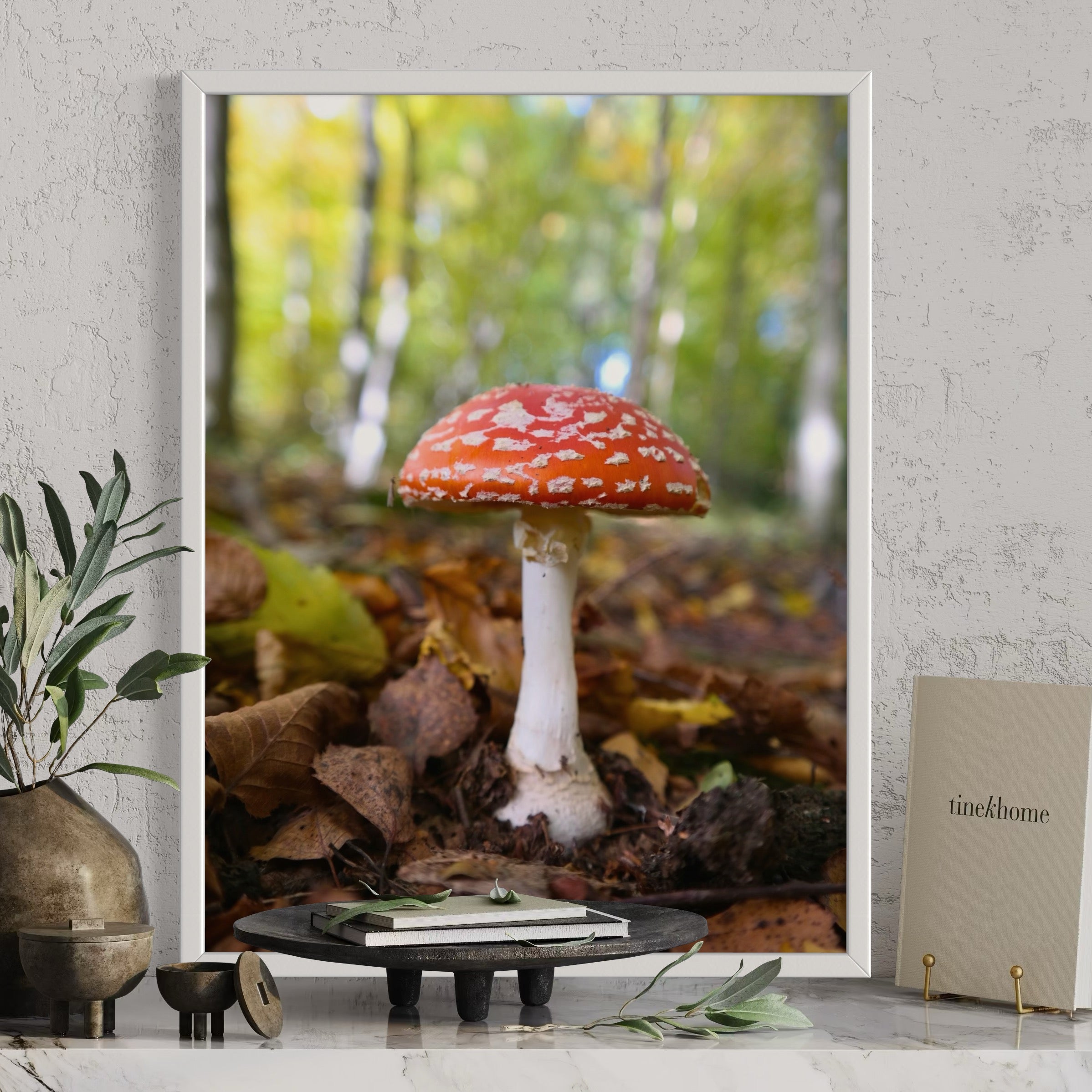 Red Cap Mushroom - Moderno Wall Art Wall Art