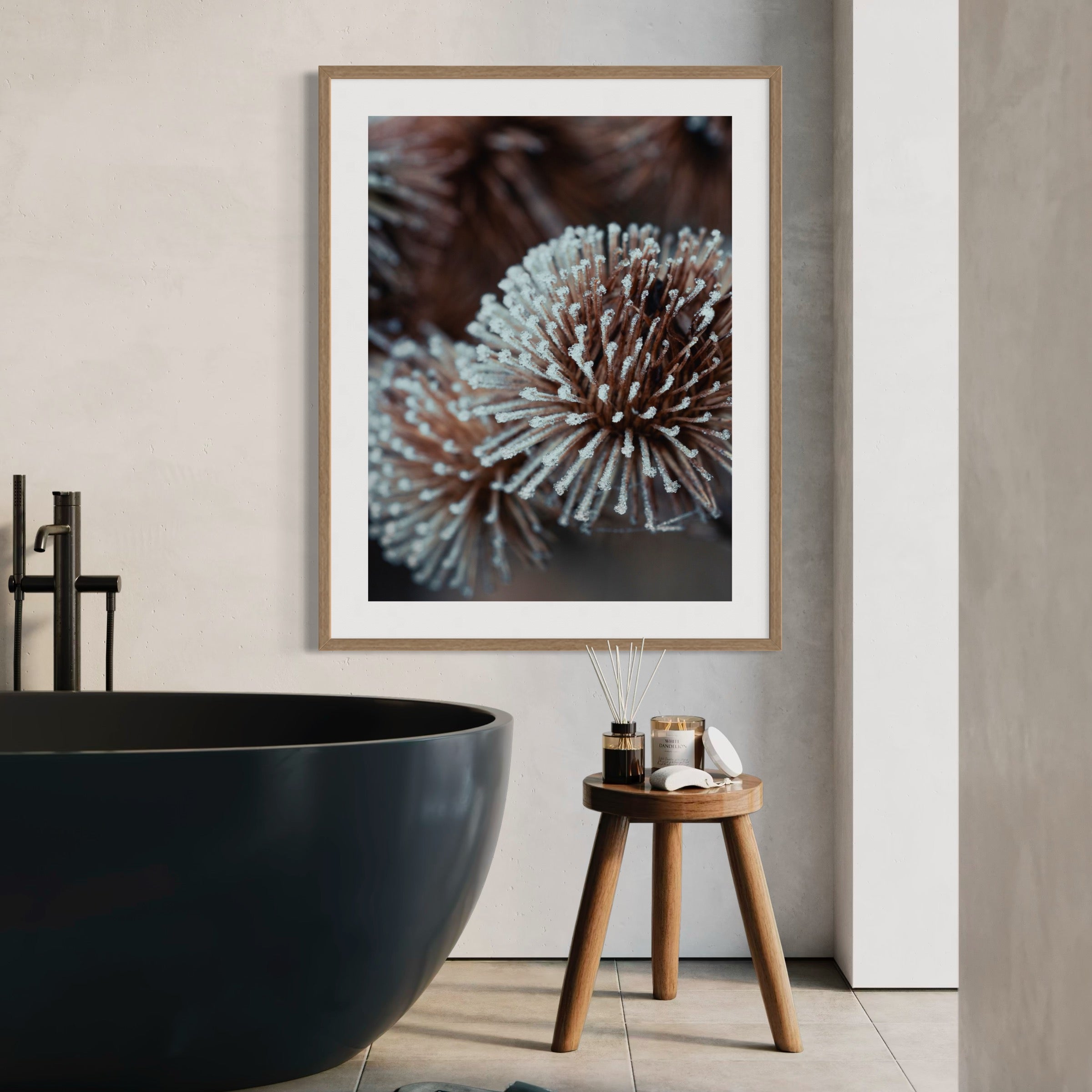 Dried Globe Thistle - Moderno Wall Art Wall Art