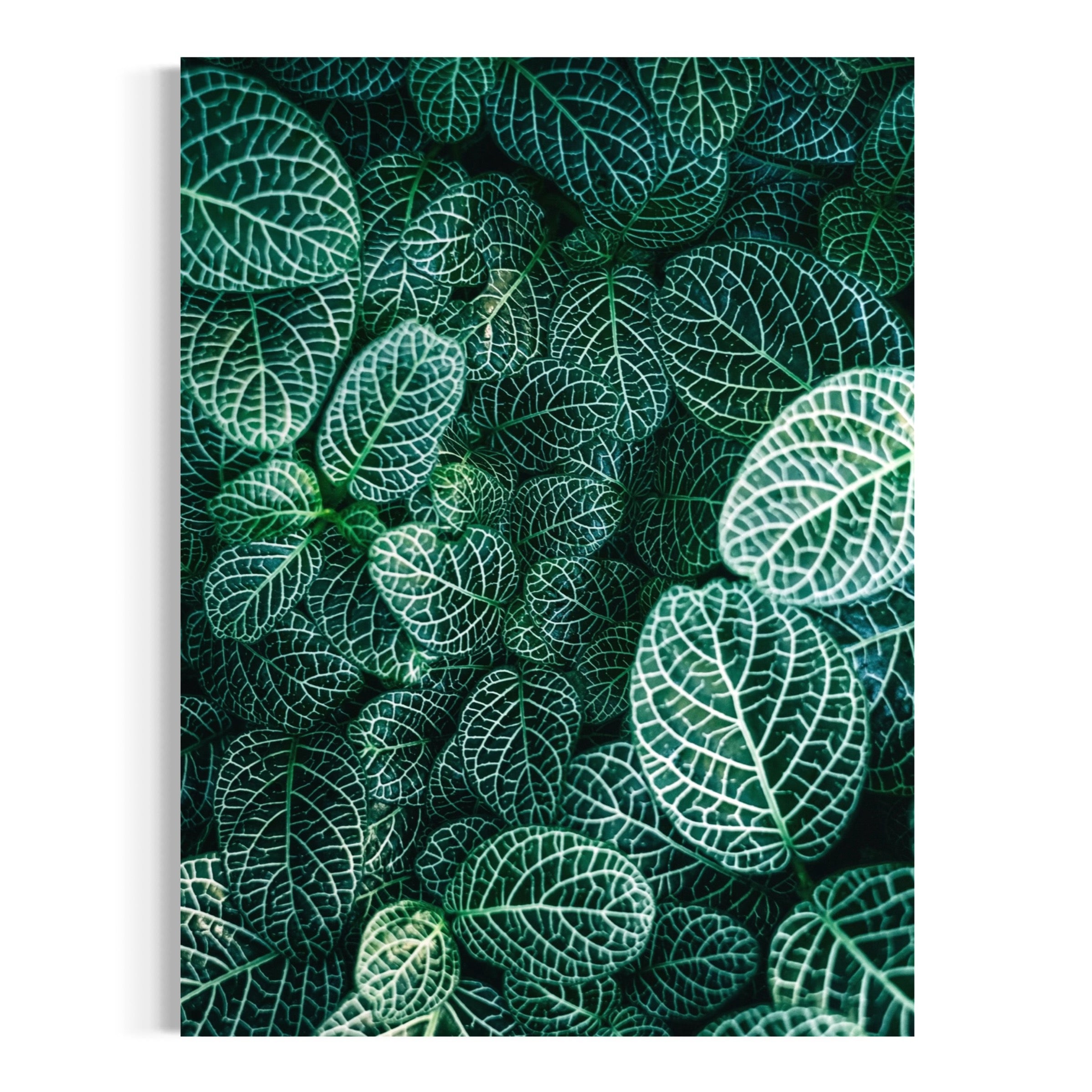 Enchanted Leaves - Moderno Wall Art Wall Art