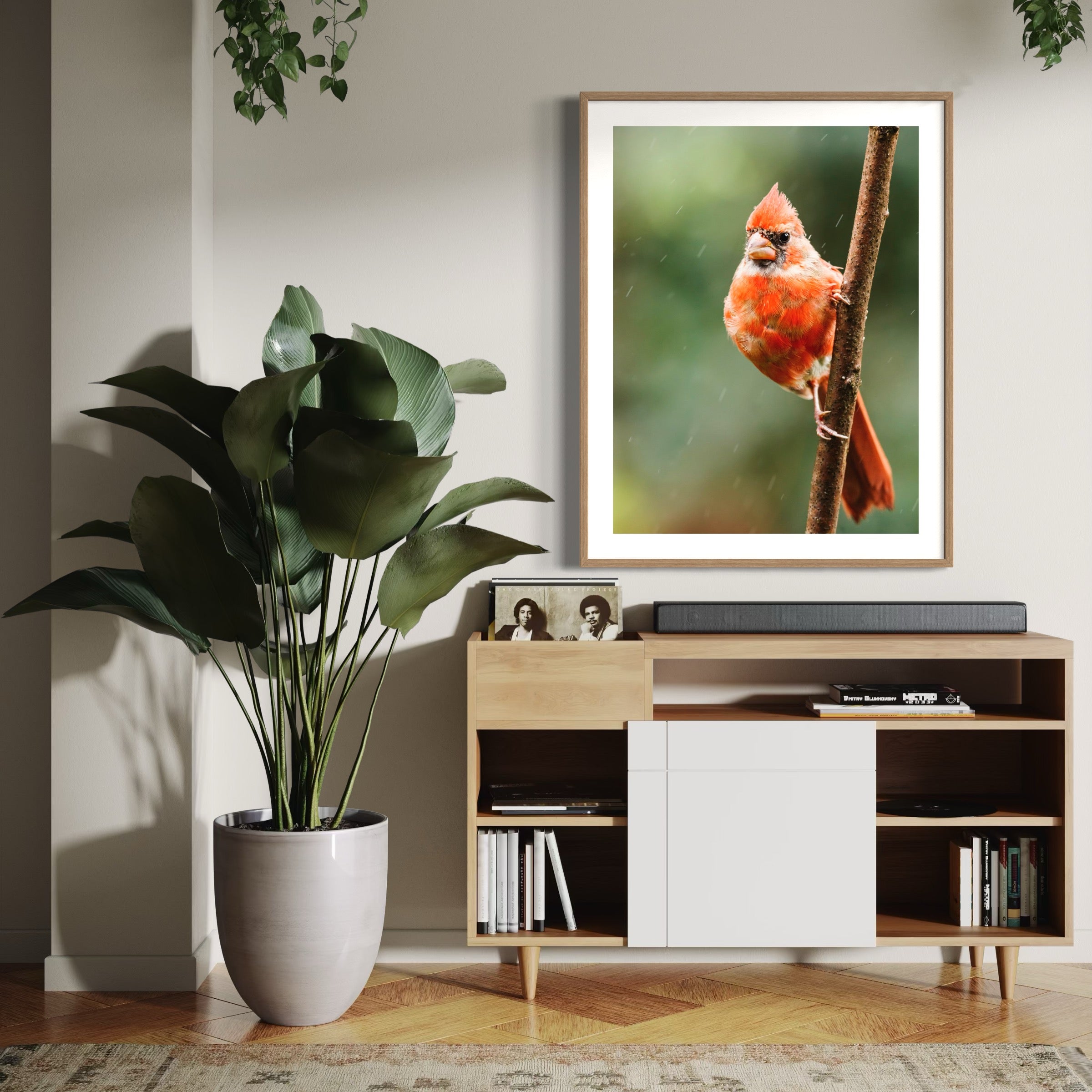 Northern Cardinal I - Moderno Wall Art Wall Art