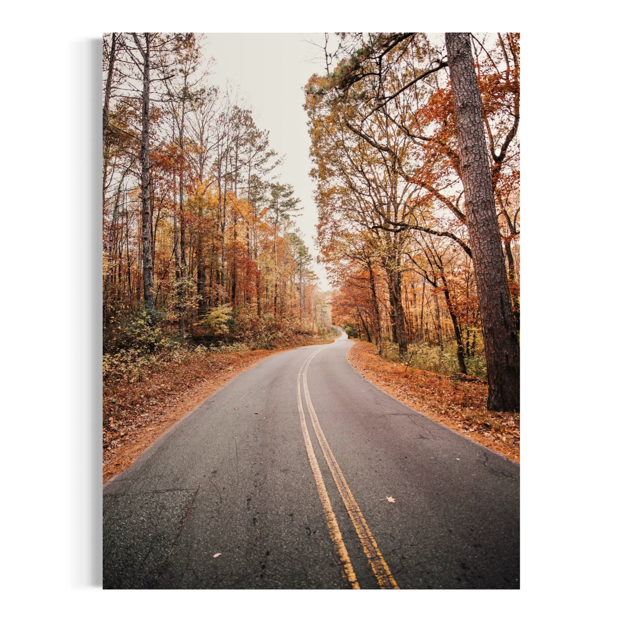Winding Through Autumn - Moderno Wall Art Wall Art