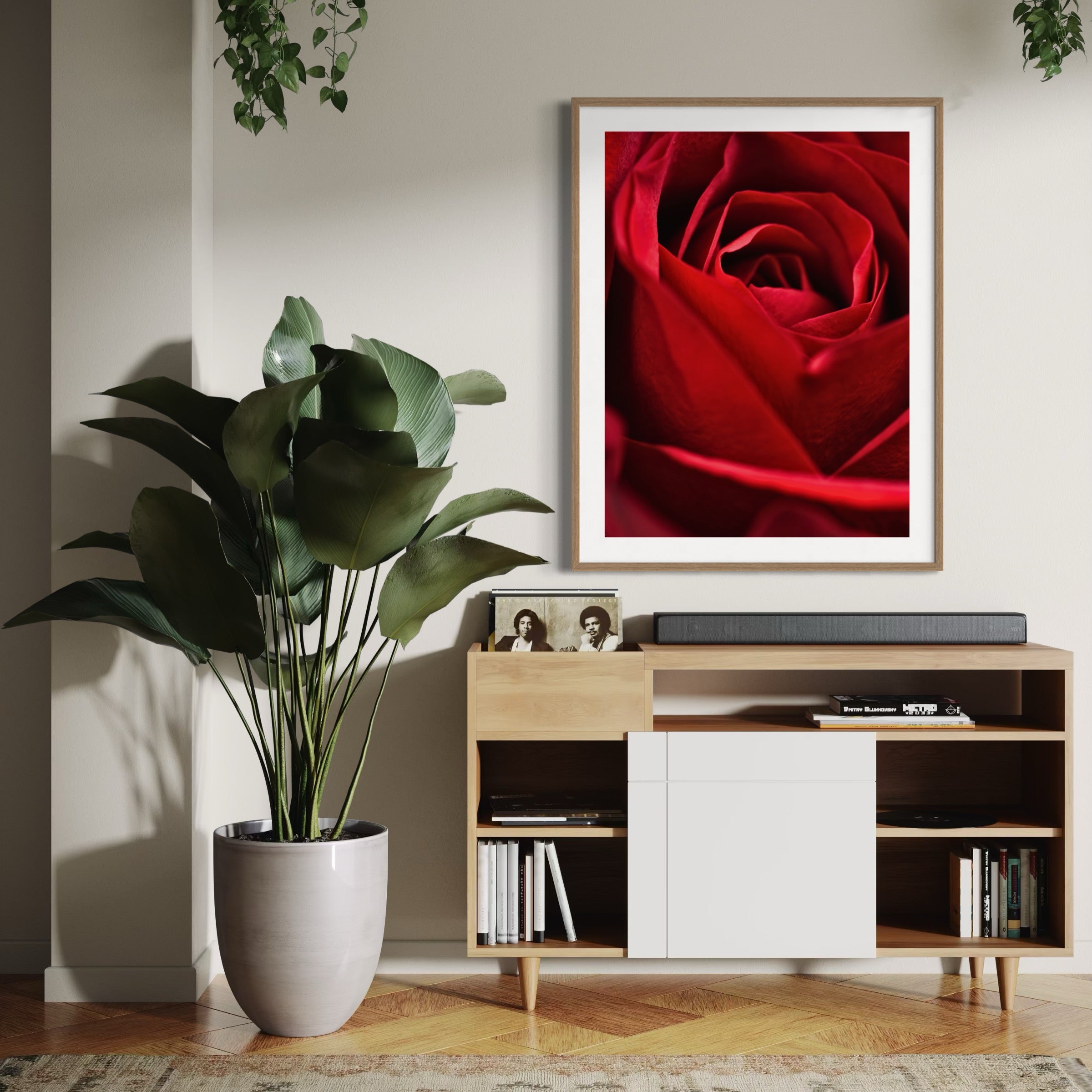 Red Velvet - Moderno Wall Art Wall Art