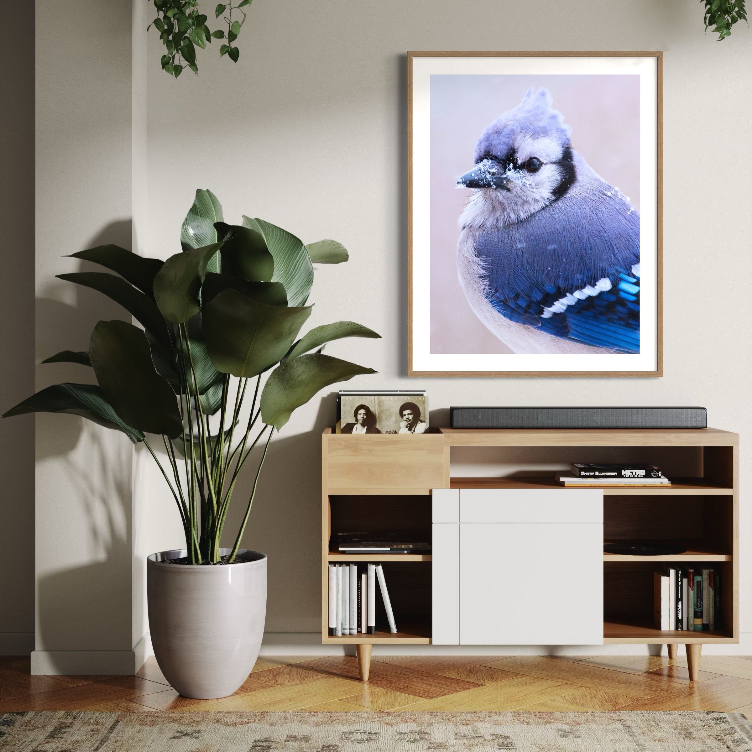 Blue Jay in Snowfall - Moderno Wall Art Wall Art