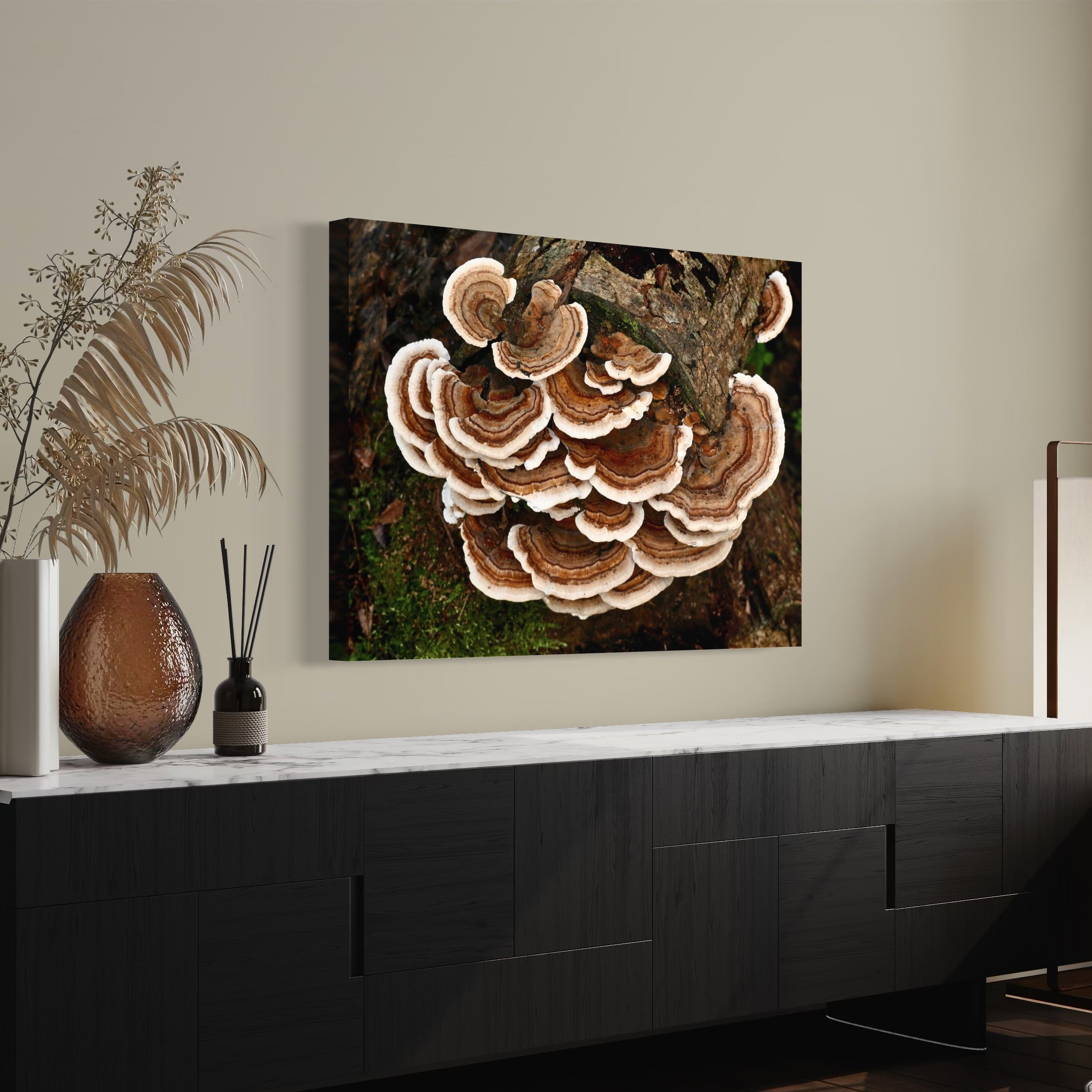 Turkey Tail Fungus - Moderno Wall Art Wall Art