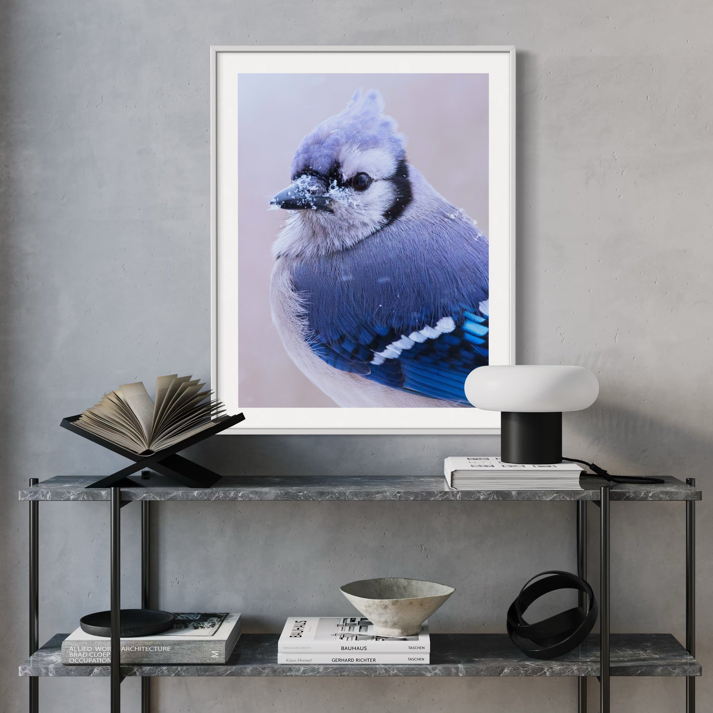 Blue Jay in Snowfall - Moderno Wall Art Wall Art