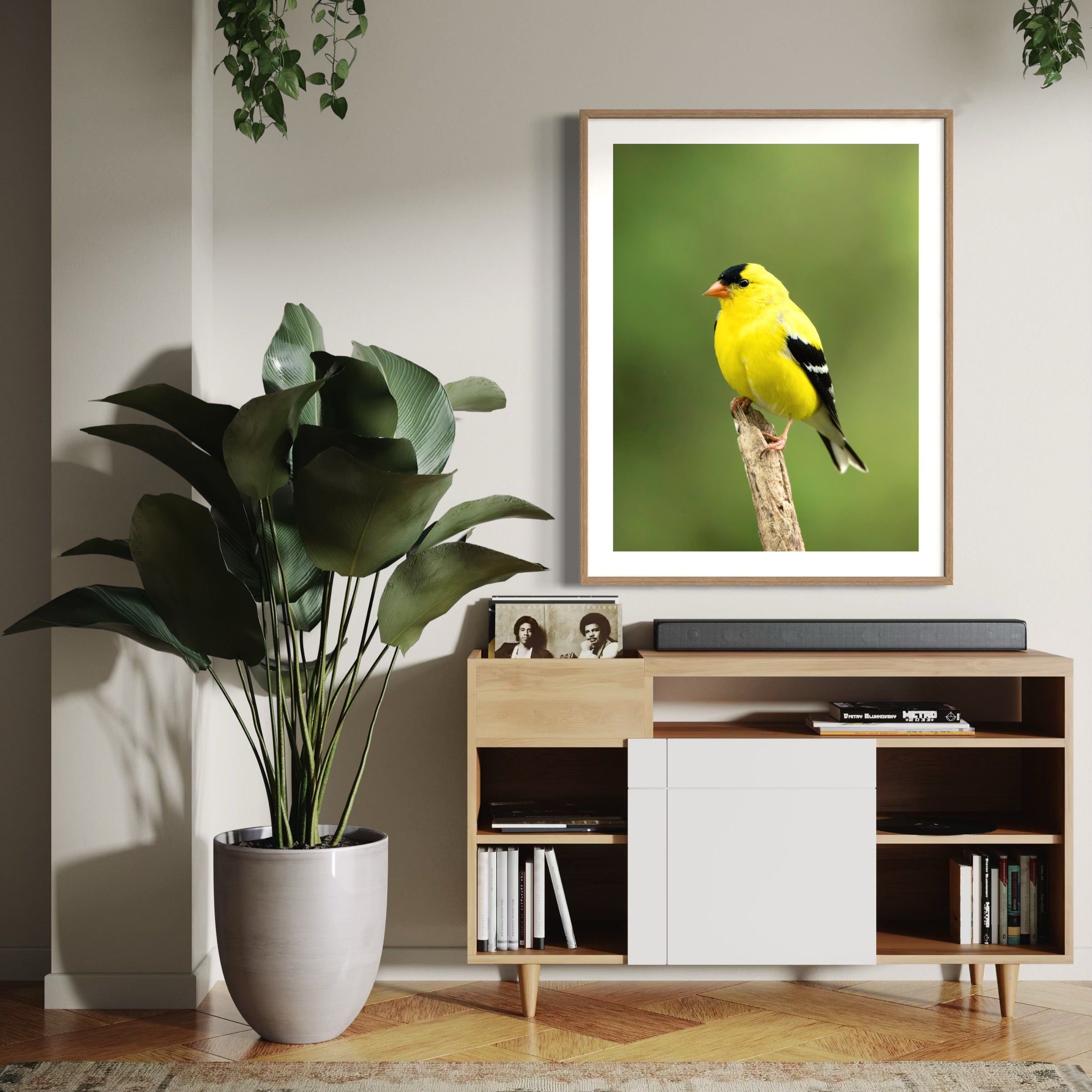 Summertime Goldfinch - Moderno Wall Art Wall Art